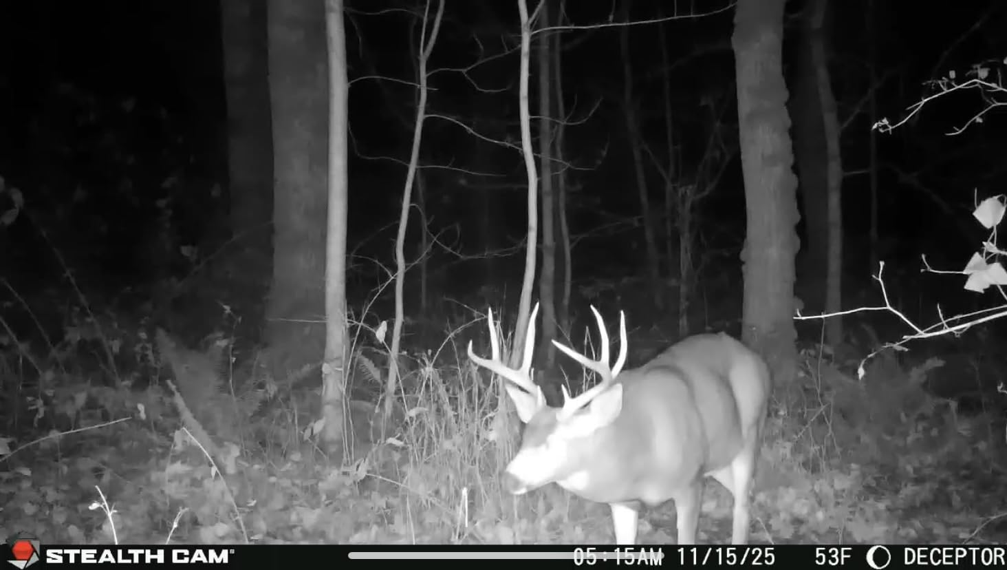Stealth Cam Deceptor No-Glo Cellular Trail Camera - 40MP, 1440P HD Video, 80ft IR Detection, Available on AT&T and Verizon customer photo 2