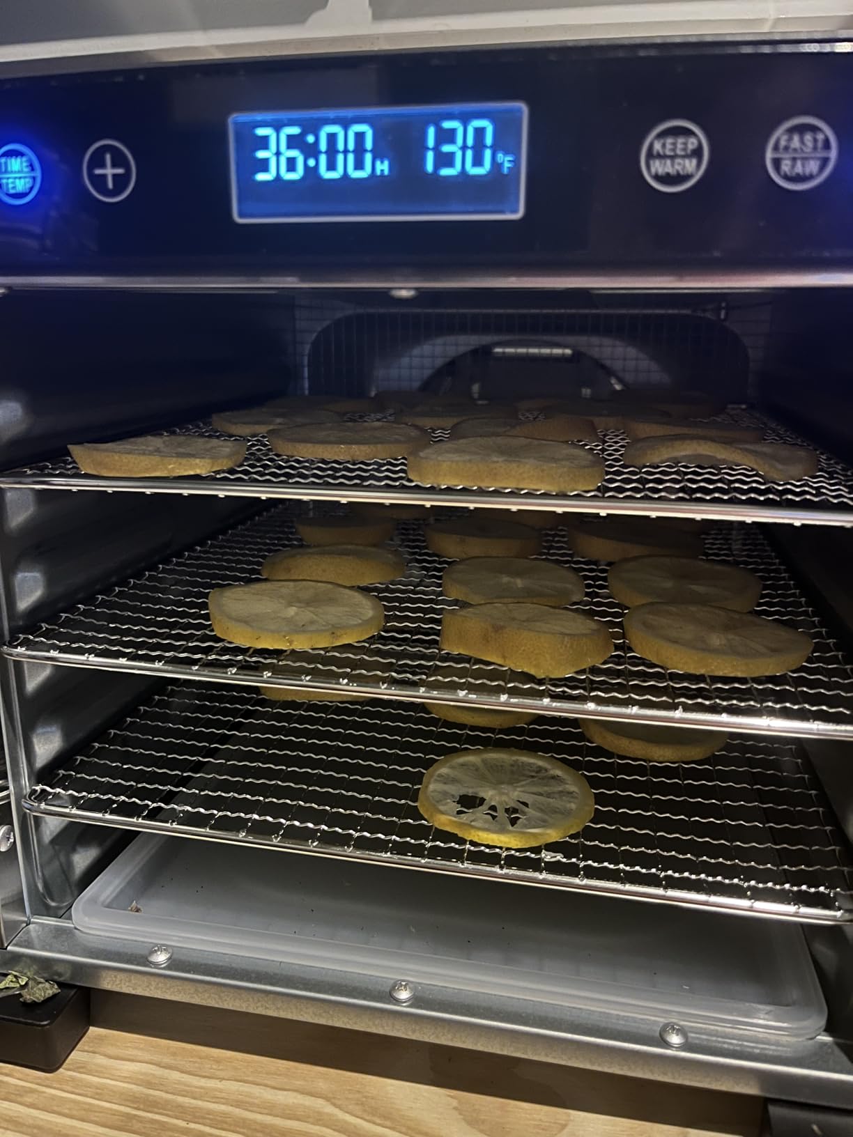 Magic Mill Pro Food Dehydrator Machine | Powerful 600W Rear Fan Even-Drying System | 7 Full-Size Stainless Steel Trays | 95°-176° Temperature Control, 48H Timer, Keep Warm + Auto Shutoff | ETL Listed customer photo 1
