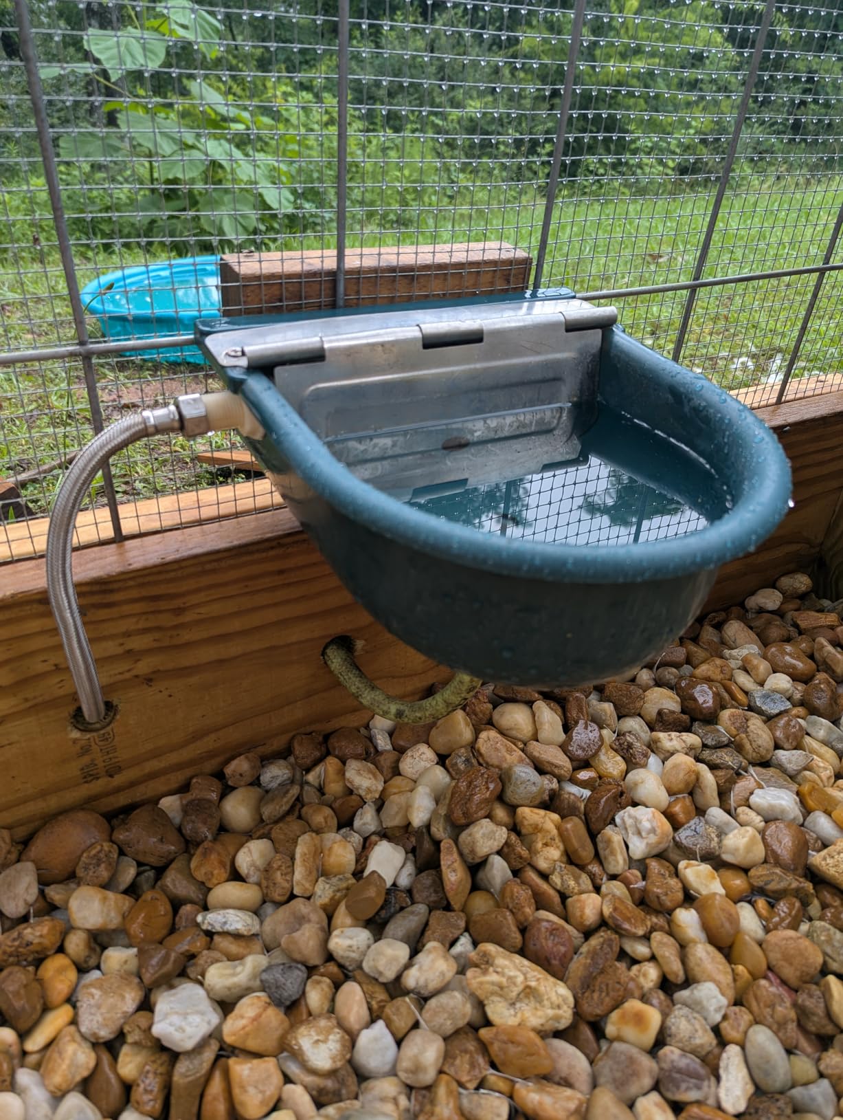 Automatic Water Bowl, Livestock Waterer for Cattle Dog Horse Goat Sheep customer photo 2