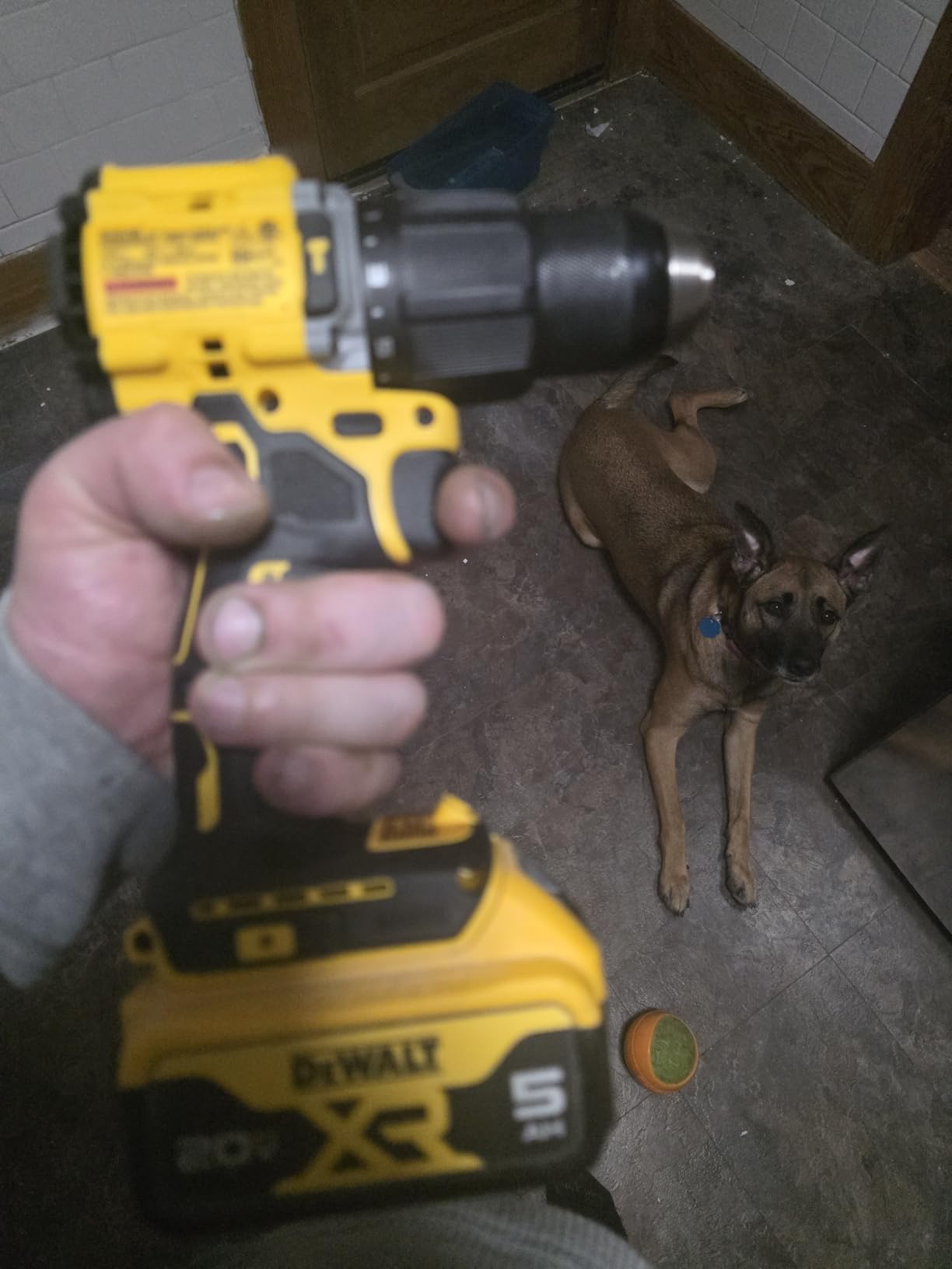 DEWALT DCD799B 20V MAX ATOMIC COMPACT SERIES Brushless Lithium-Ion 1/2 in. Cordless Hammer Drill (Tool Only) customer photo 1