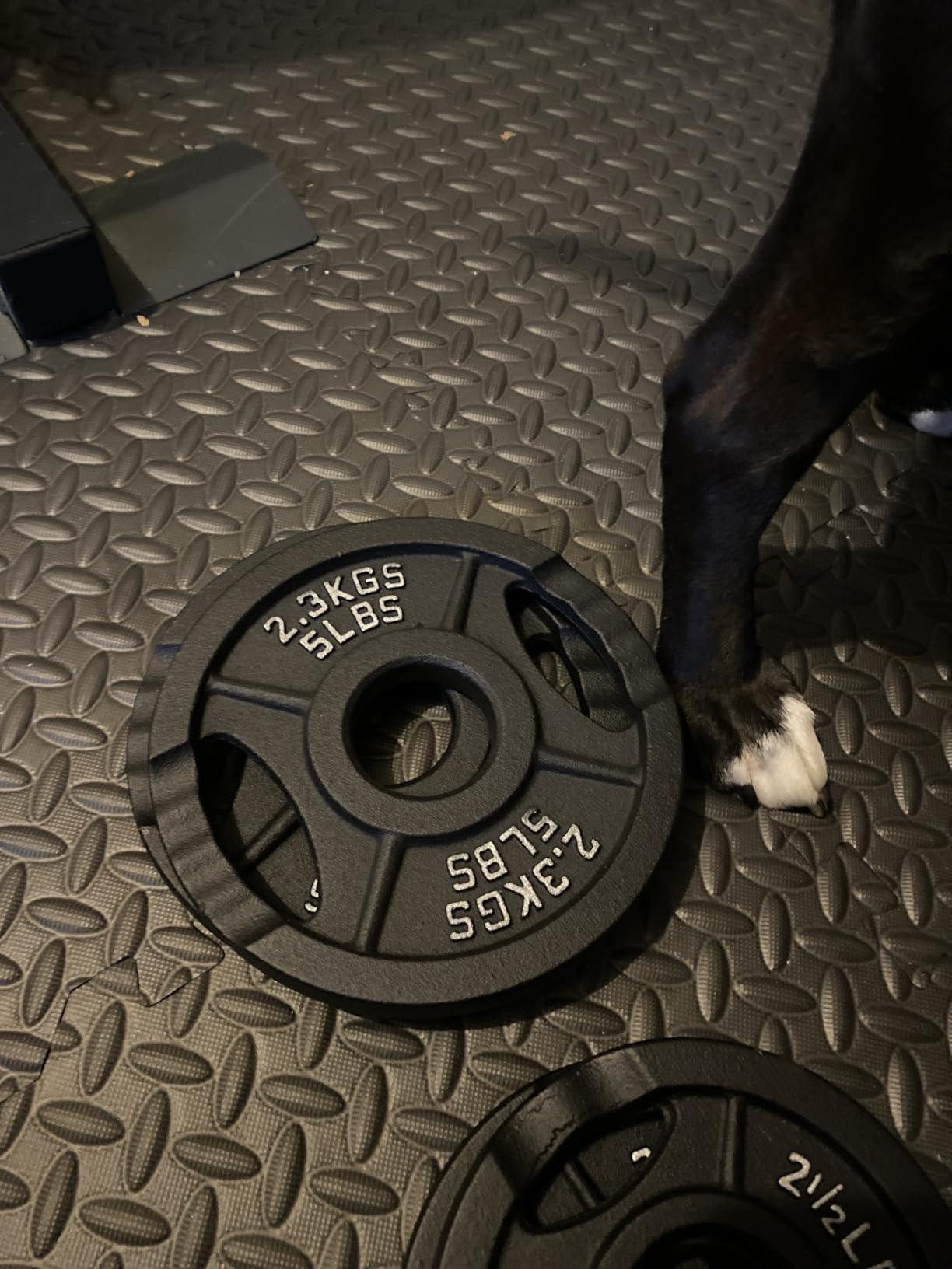 Signature Fitness Olympic 2-Inch Cast Iron Plate Weight Plate for Strength Training and Weightlifting, Multiple Sizes customer photo 1