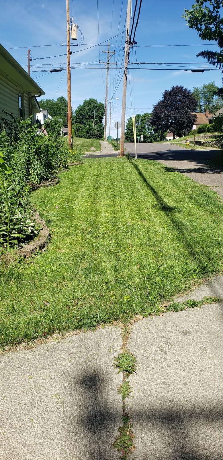 Wild Badger Power 40V 18-Inch Brushless Cordless Electric Lawn Mower customer photo 1