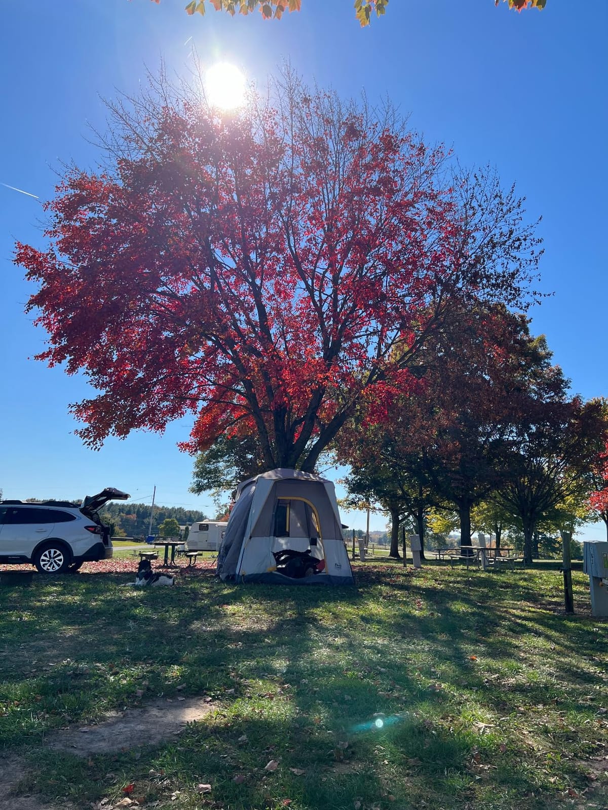 Timber Ridge Truck-Bed-Tents SUV Camping Tent | Weather Resistant and Portable Van or Car Tent, Includes Rainfly and Storage Bag customer photo 1