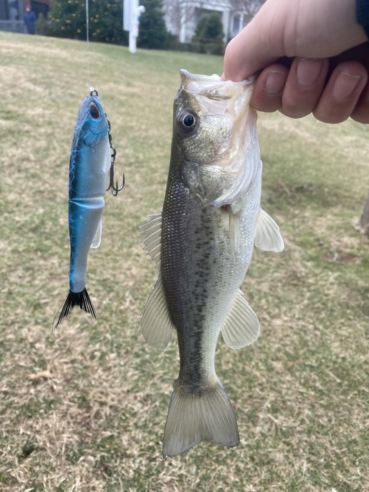 Berkley PowerBait Nessie Fishing Soft Bait customer photo 1