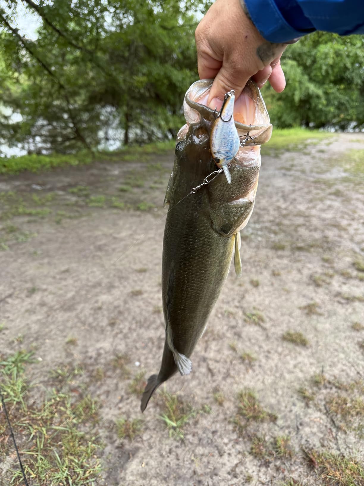 Berkley Frittside Fishing Hard Bait customer photo 2