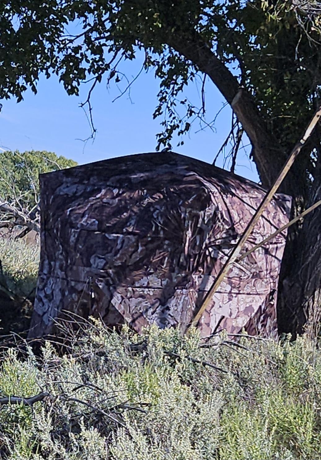 Barronett Blinds Ace 250 Portable Hunting Blind, Large Pop-Up Hub Blind, Panoramic Shooting Windows, Lightweight, Crater Harvest, 75 x 75 x 67 customer photo 2