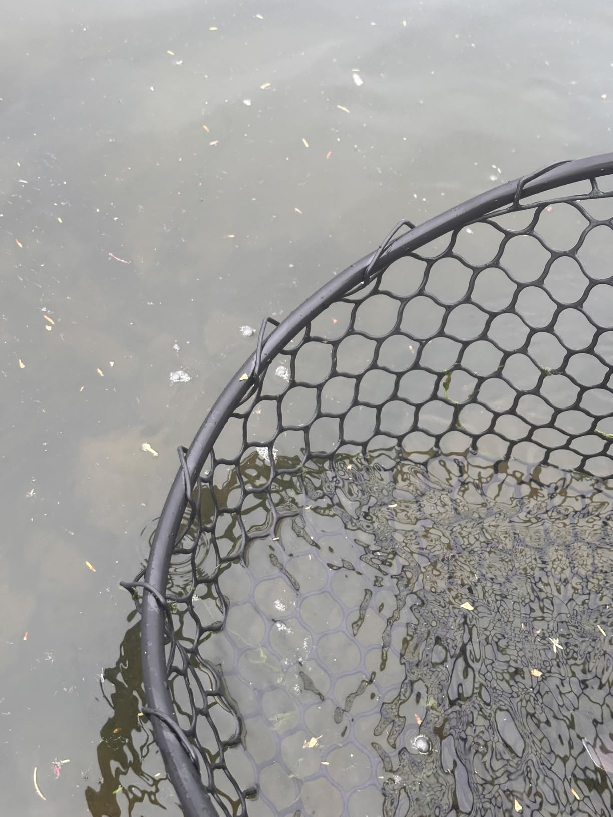 High Strength Large Landing Net, Fishing Net with Long Telescoping Handle, Soft Rubber Mesh, 60 in Max Length, 23 x 18 in Hoop, Landing Nets for Fishing, Ideal for Boat, Pier, River Angling customer photo 1