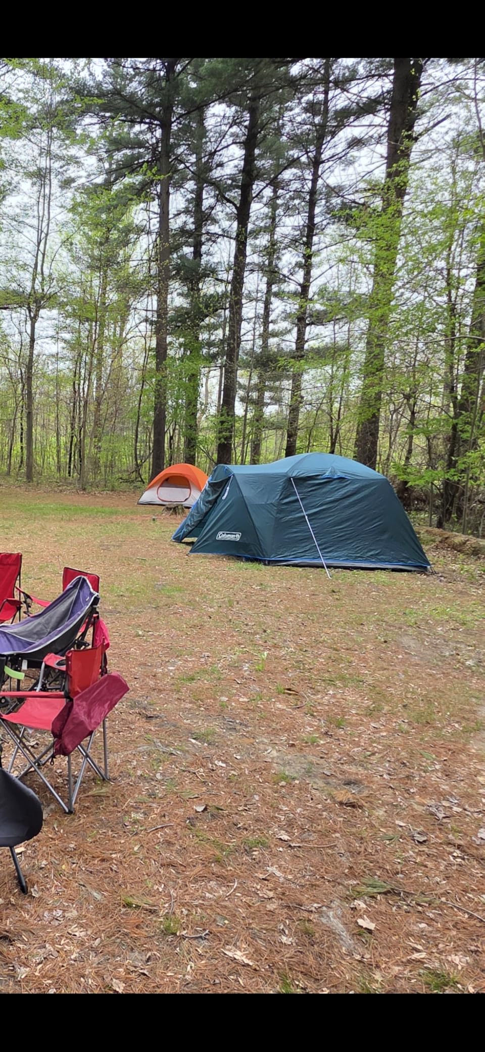 Coleman Skydome Tent with Full-Fly Weather Vestibule, Weatherproof 4 Person Tent Sets Up in 5 Minutes, 20% More Headroom Than Traditional Shelters customer photo 2