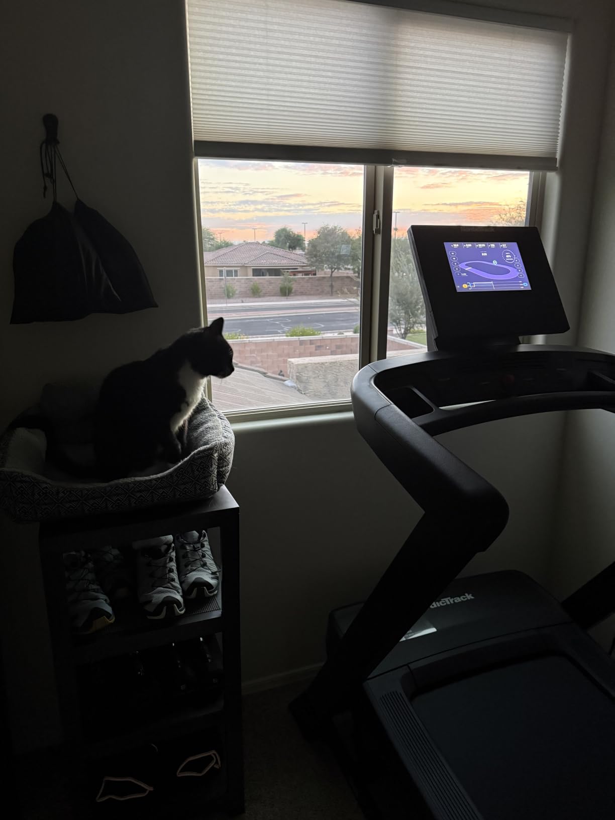 NordicTrack T Series Treadmill customer photo 1