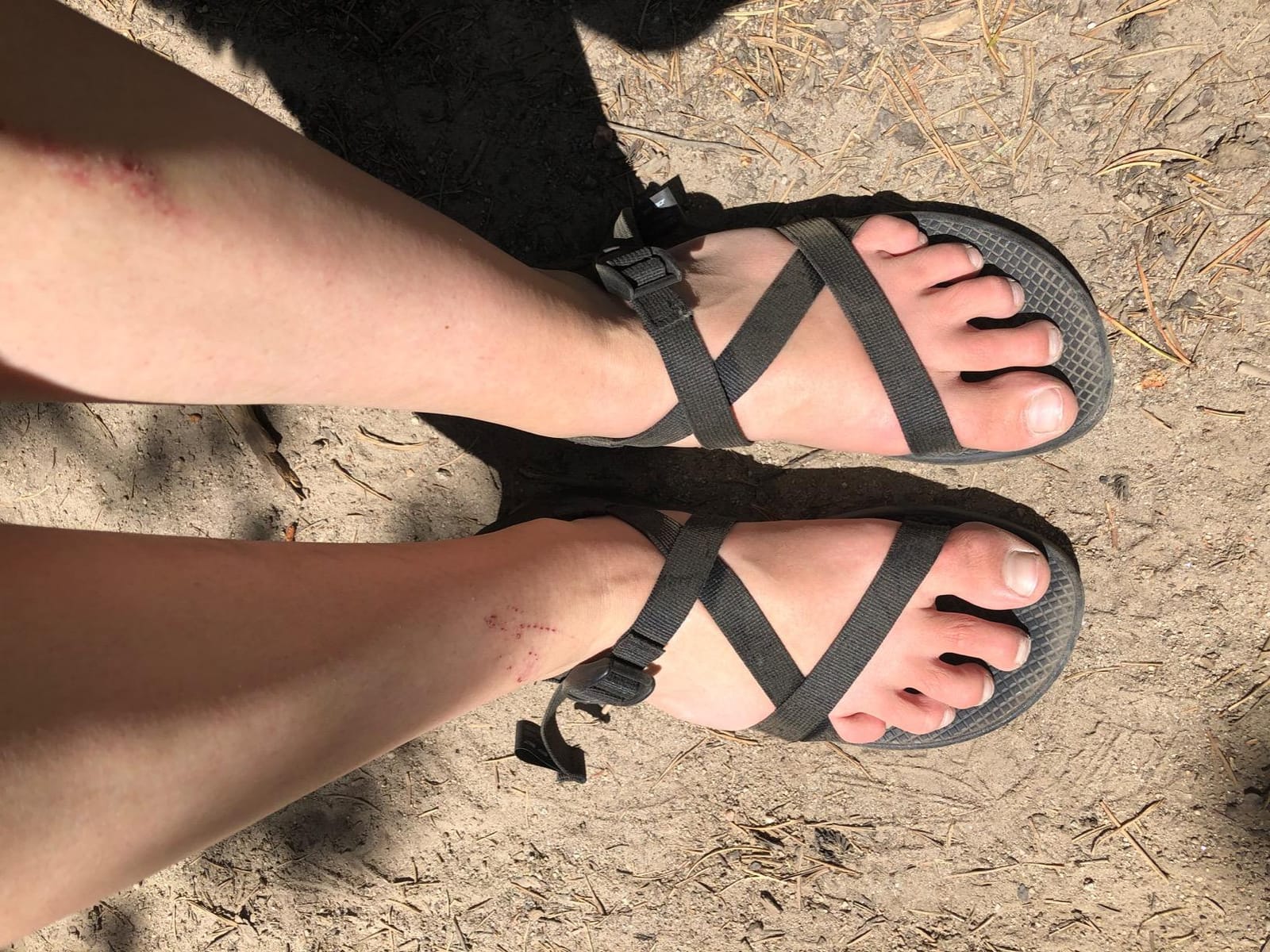 Chaco Women's Z1 Classic Sandals customer photo 2