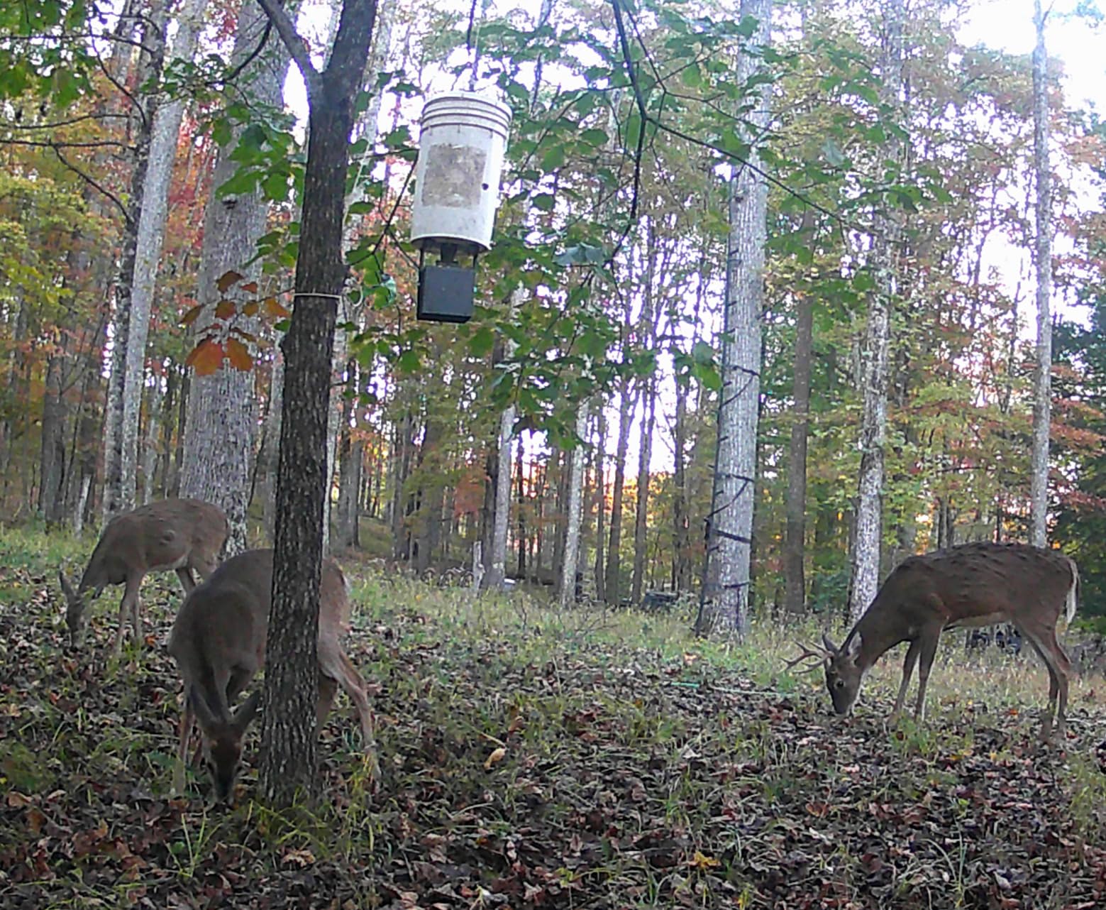 6V Deer Feeder Kit, Motor and Timer Metal Kit customer photo 2