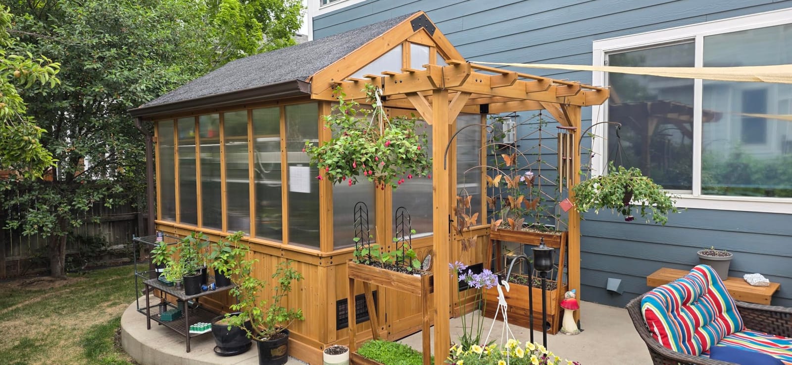 Backyard Discovery Bellerose 9' x 6' White Cedar Wood and Polycarbonate Walk-in Greenhouse Kit with Pergola, Exhaust Fan, Window, Hose Hook-Ups, PowerPort, Staging Shelves for Outdoor Gardening customer photo 2