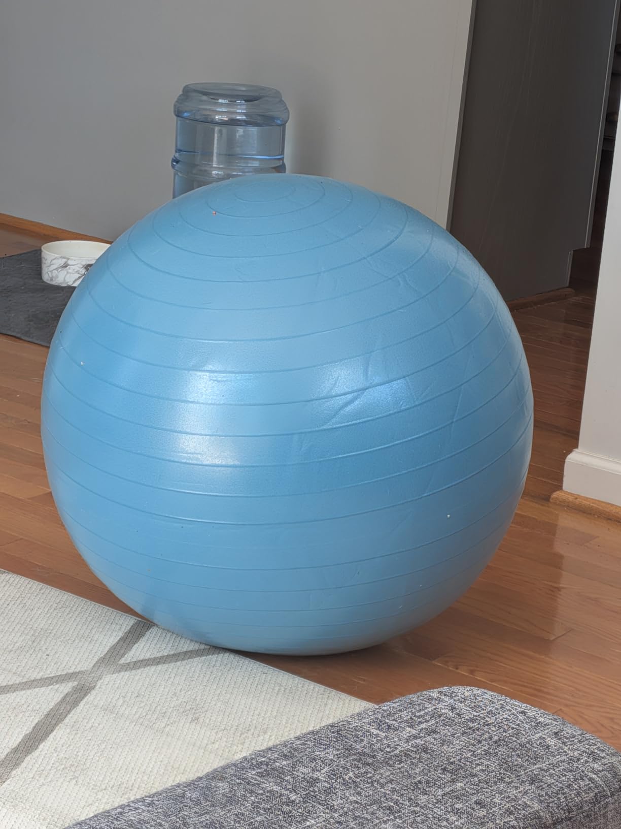 Amazon Basics Anti-Burst Exercise Ball with Pump, 23-26