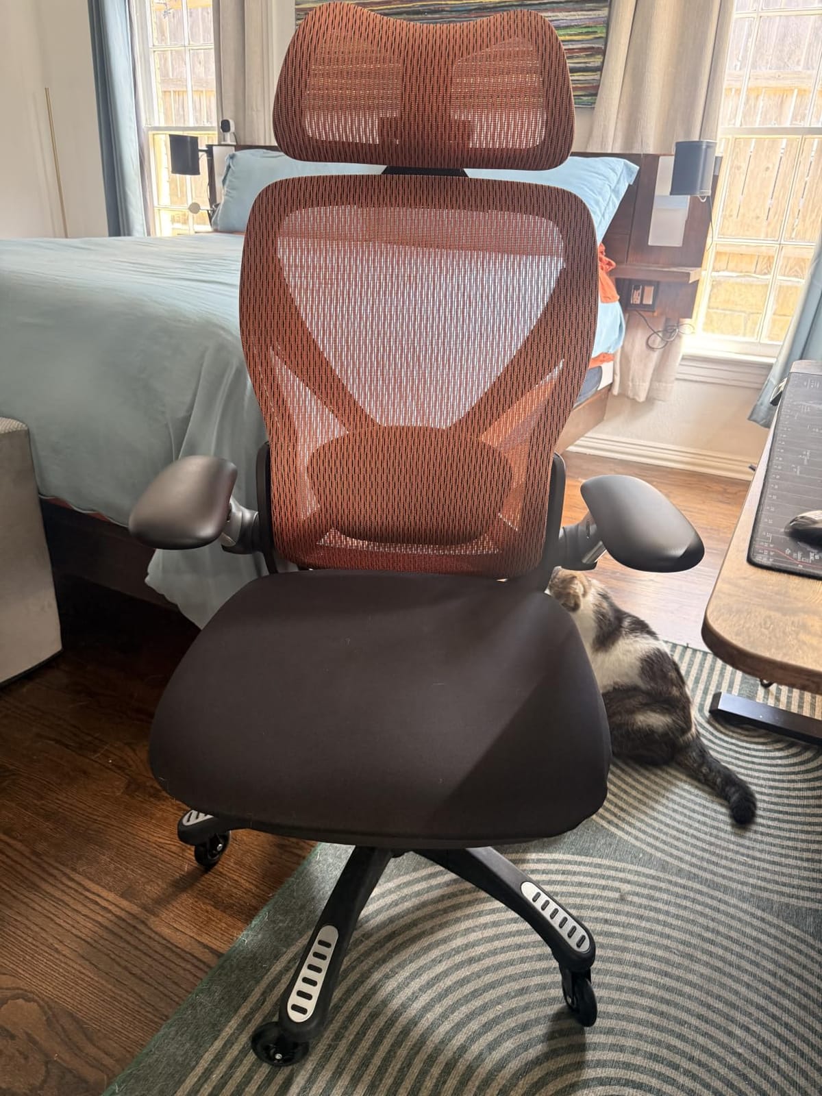 ELABEST X100 Ergonomic Mesh Office Chair with Footrest, Big and Tall Home Desk Chair with 5D Flip-Up Arms, Adjustable 3D Lumbar Support, Gaming & Executive Computer Chairs customer photo 1