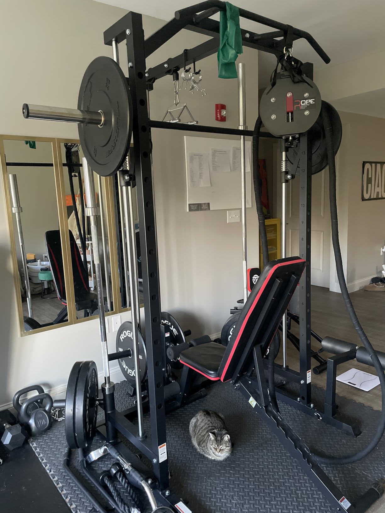 Mikolo Smith Machine Home Gym Power Cage (1:1 Ratio Strength Trainer) (Space Saving Design) (with 8 Free Attachments) Squat Rack for Full Body Training customer photo 1