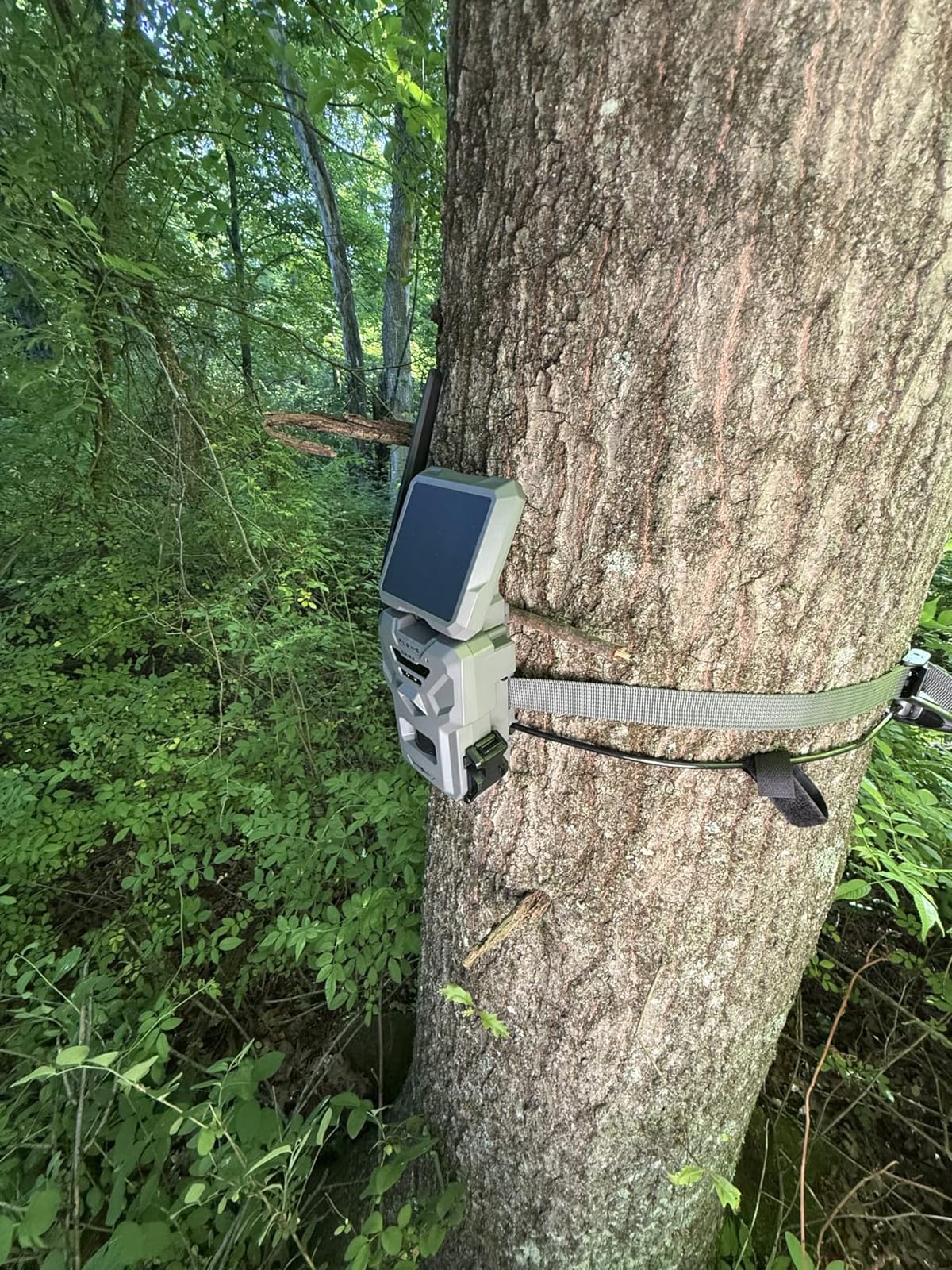 SPYPOINT Flex-S-Dark Solar Cellular Trail Camera - Built-in Solar Panel, 40MP Photos, 1080p Videos + Sound, No-Glow Game Camera, Night Vision, Motion Activated Trail Cam customer photo 1