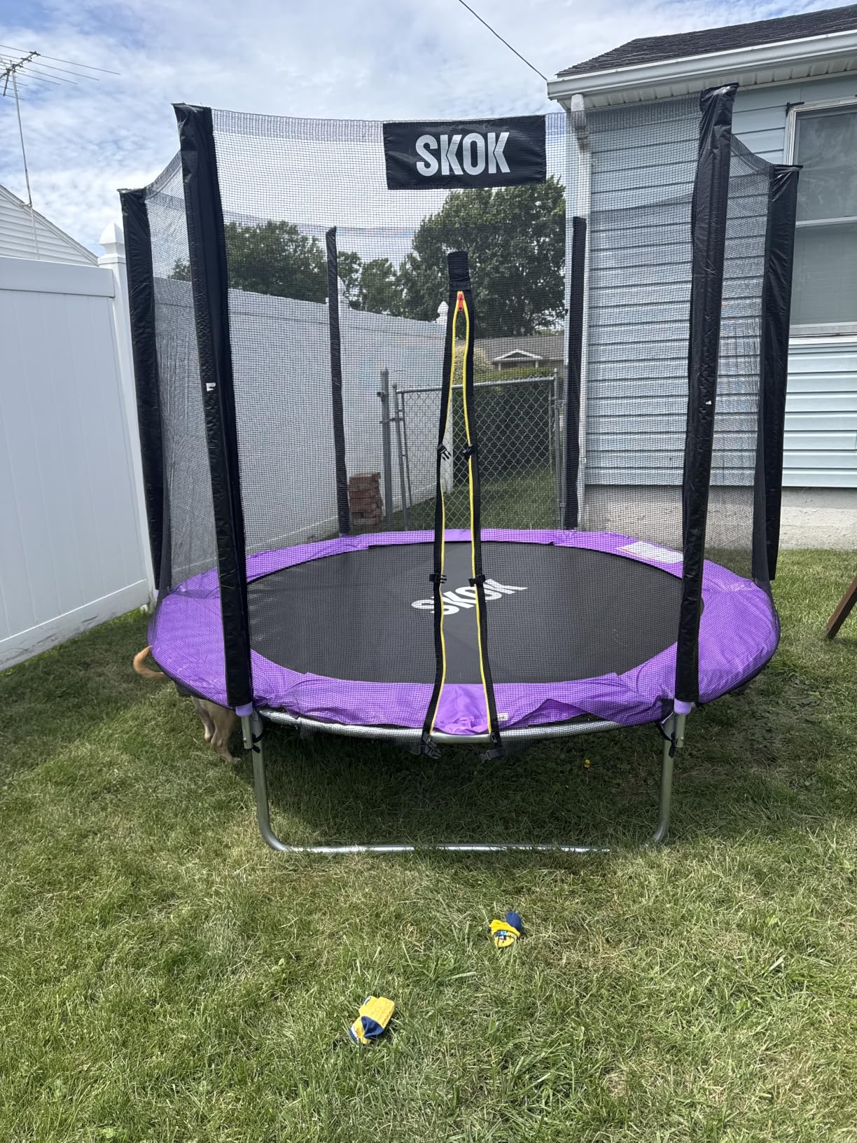 Trampoline for Kids, 400LBS Outdoor Trampoline with Net - ASTM Approved Trampoline for Children and Adults customer photo 1
