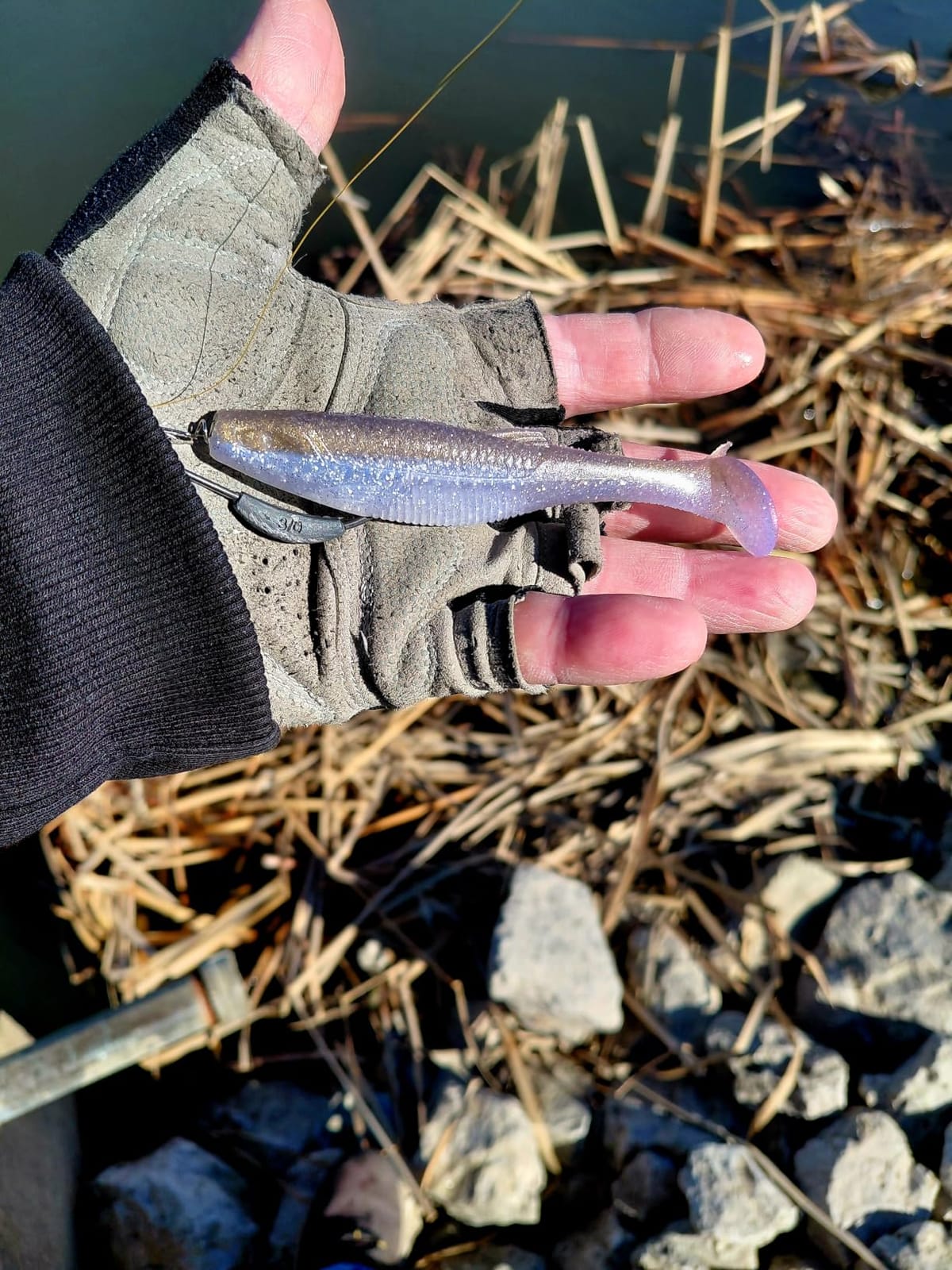 Rapala CrushCity Mayor Soft Plastic Paddle Tail Swimbait, Strong Kicking Action for Swim Jigs & Underspins, Bass, Redfish, Trout, Snook, Walleye & More customer photo 2