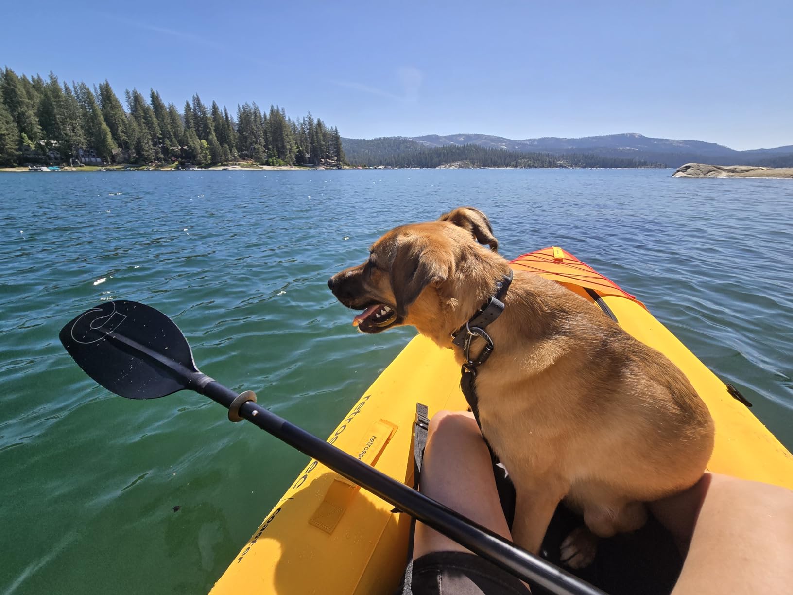 Coaster Single & Tandem Inflatable Kayak for Adults - Blow Up Kayak, 220 & 440lb Capacity, Portable Lightweight Kayak with Paddle, Pump & Carry Bag customer photo 2