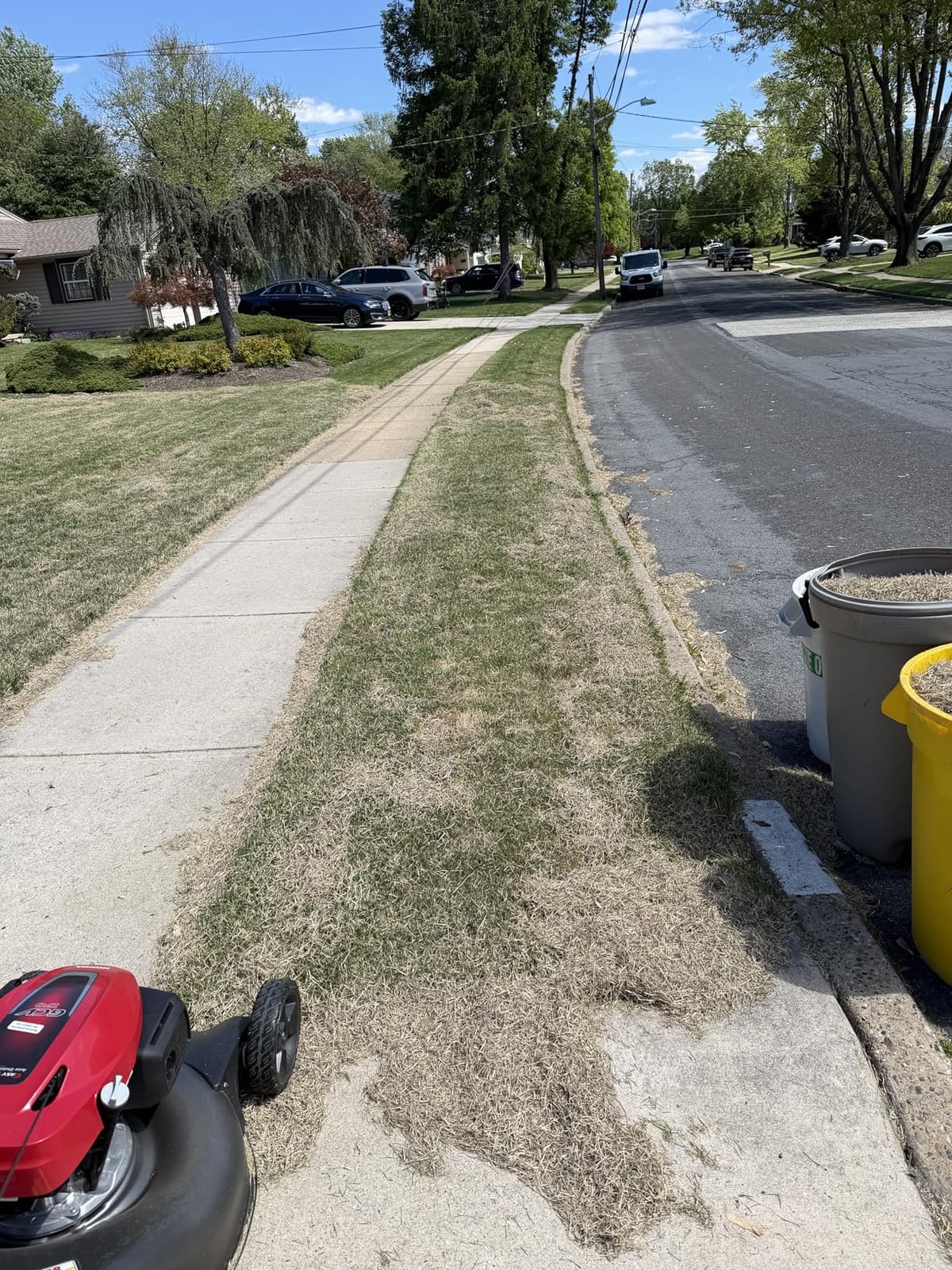 Sun Joe Corded Dethatcher & Scarifier with 13.2-Gal Bag, AJ808E | 15-Inch Cutting Width, 15-Amp Motor - Heavy-Duty Yard Trimmer Machine for Gardening Care and Lawn Maintenance customer photo 1