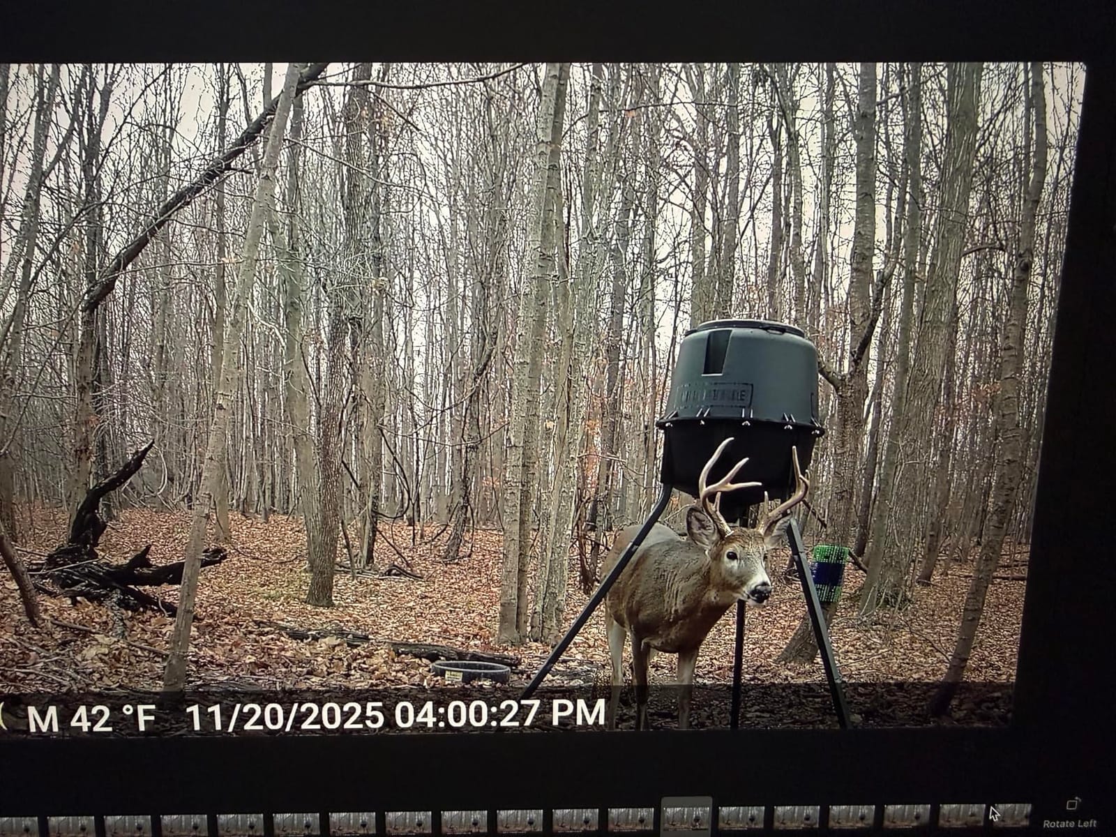 Moultrie 200 Lb Tripod Deer Feeder - Bluetooth App Control customer photo 2