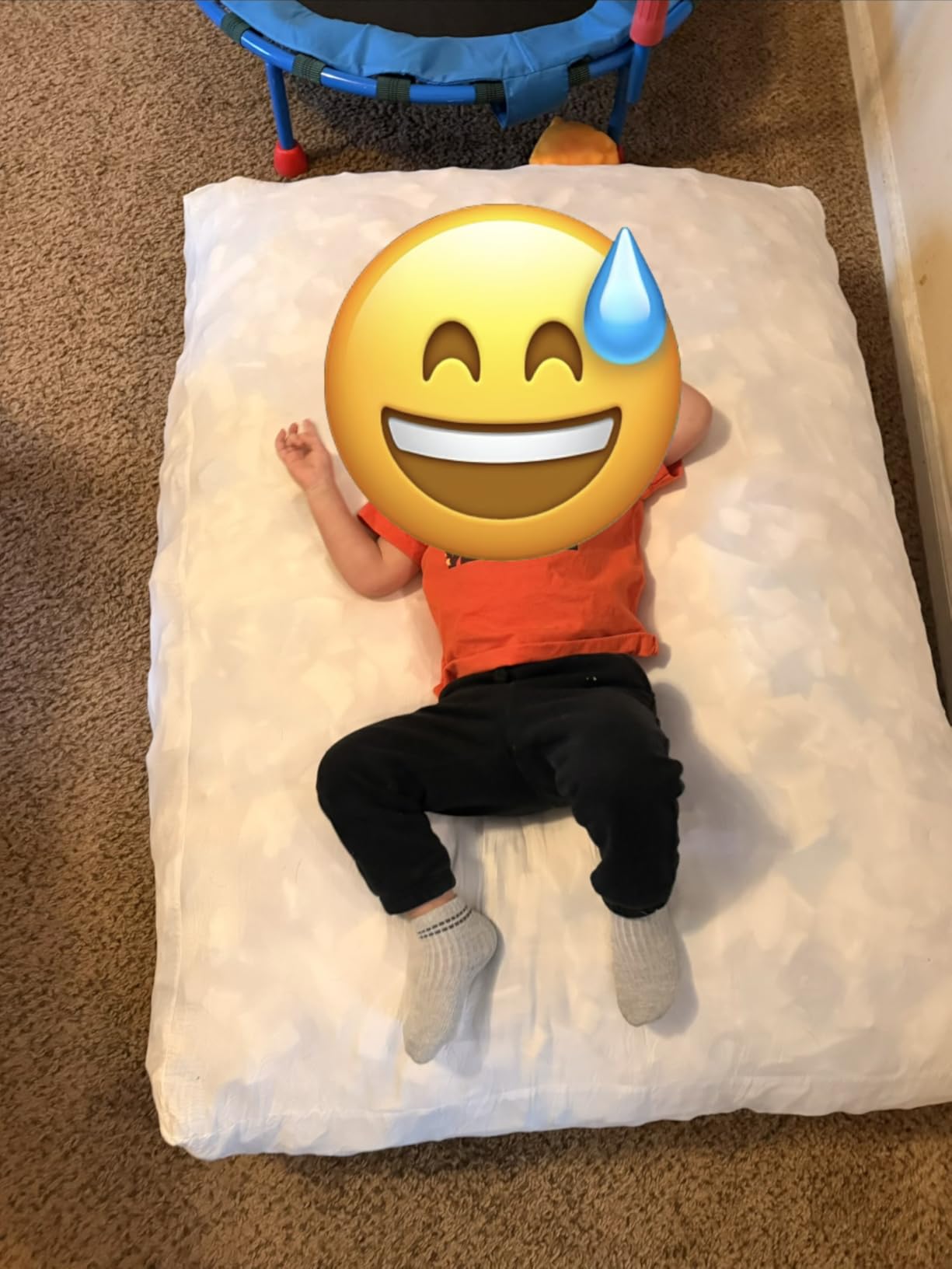 SaferBounce Sensory Crash Pad - Extra Thick Bouldering Crash Pad with Backpack Straps - Non-Slip Bottom - Portable Climbing Mat for Indoor and Outdoor Use customer photo 1