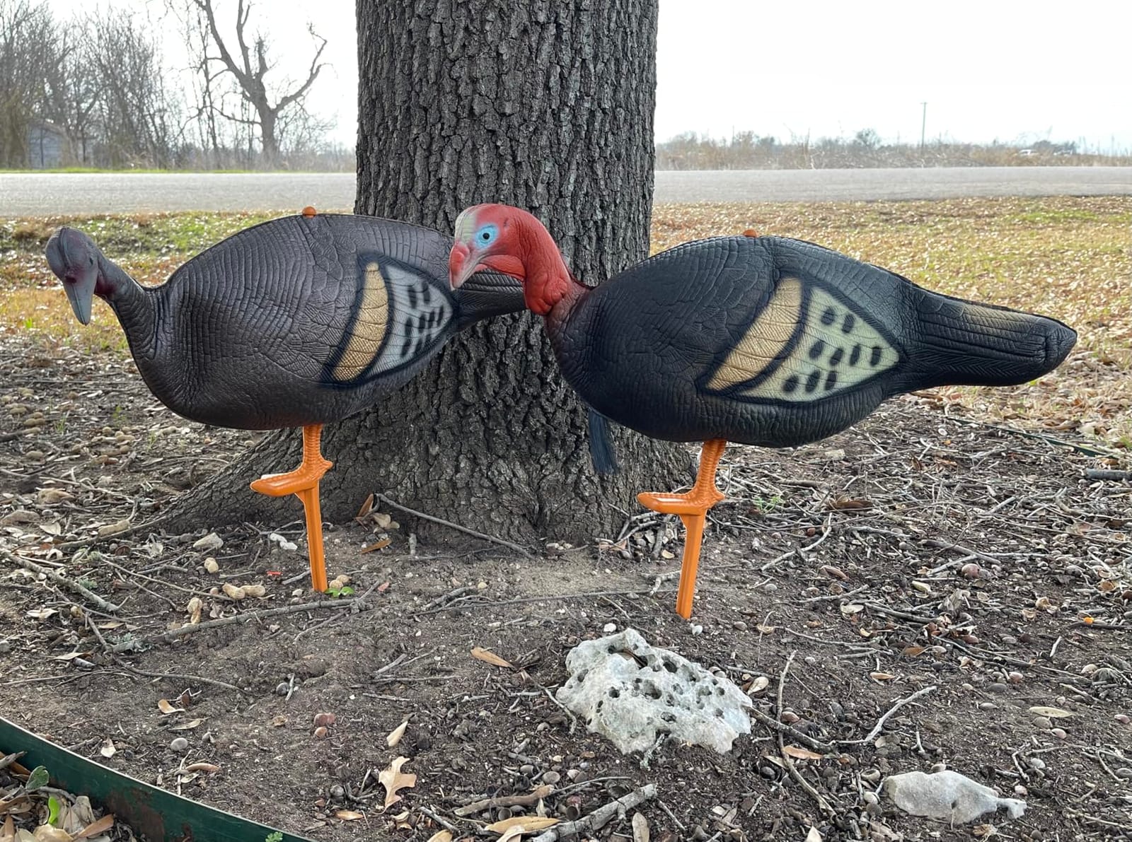 FUNHORUN Turkey Decoy for Hunting 4 Pack, Jake & Hen Decoys with Stakes customer photo 1