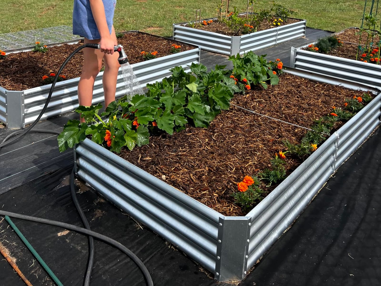 Land Guard 3 Pack 8x4x1ft Galvanized Metal Raised Garden Bed, Metal Planter Kit Box Outdoor for Deep-Rooted Vegetables, Flowers, Green and Herbs, Silver customer photo 1