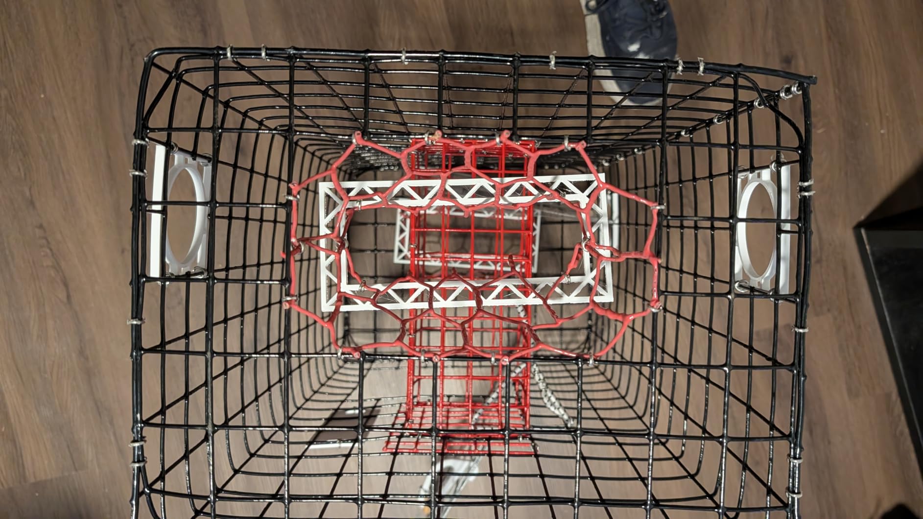 Florida Medium Blue Crab Trap - 24 x 14 x 11 Crab Pot for Recreational Crabbing - Two-Throat Entry Fishing Trap - PVC Coated Wire Saltwater Crab Trap customer photo 1