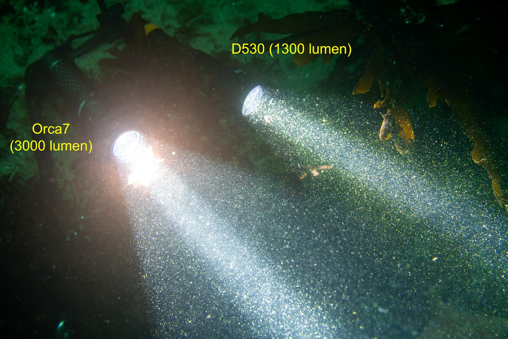 ORCATORCH ORCA7 3000 Lumens Dive Light, 125g Compact Palm-Sized, Gray | Ultra-Bright, 3 Modes (High/Medium/SOS), 6-Degree Beam Angle, IP68 Waterproof, for Night Diving & Cave Diving customer photo 1