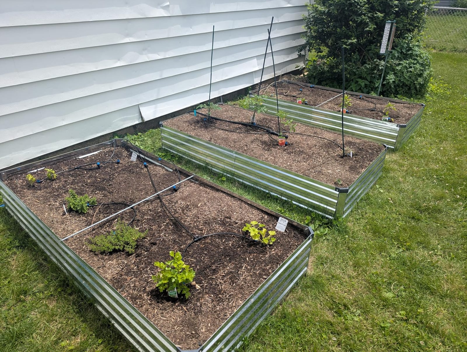 240FT Drip Irrigation System Kits, Quick Connect Automatic Garden Watering System for Raised Bed, Potted Plants, Lawn, Greenhouse with 1/2 inch Hose 1/4 inch Tubing and Accessories customer photo 1