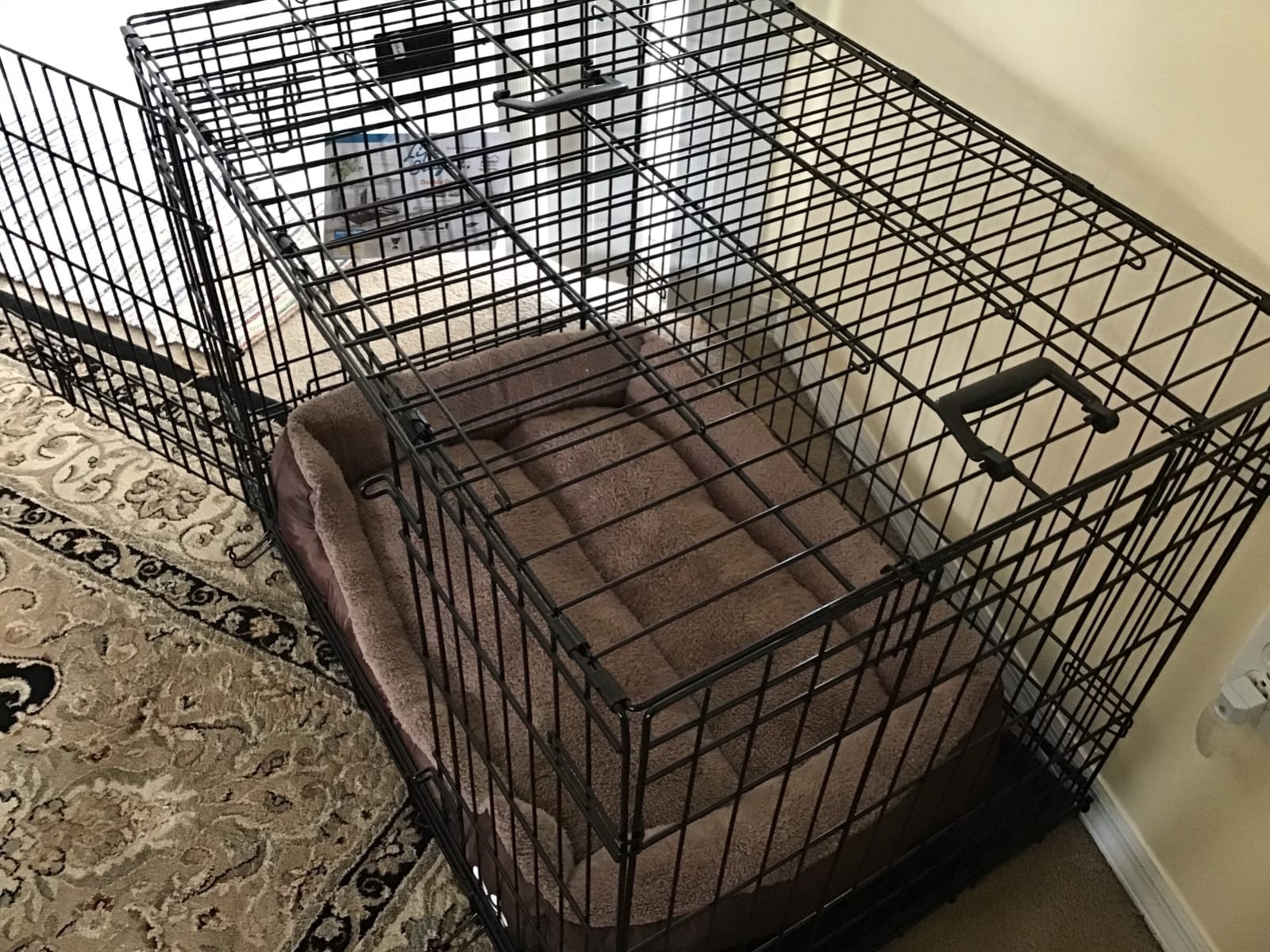 LifeStages by MidWest 36-Inch Double Door Crate, M-L Breeds, 41-70 lbs customer photo 1