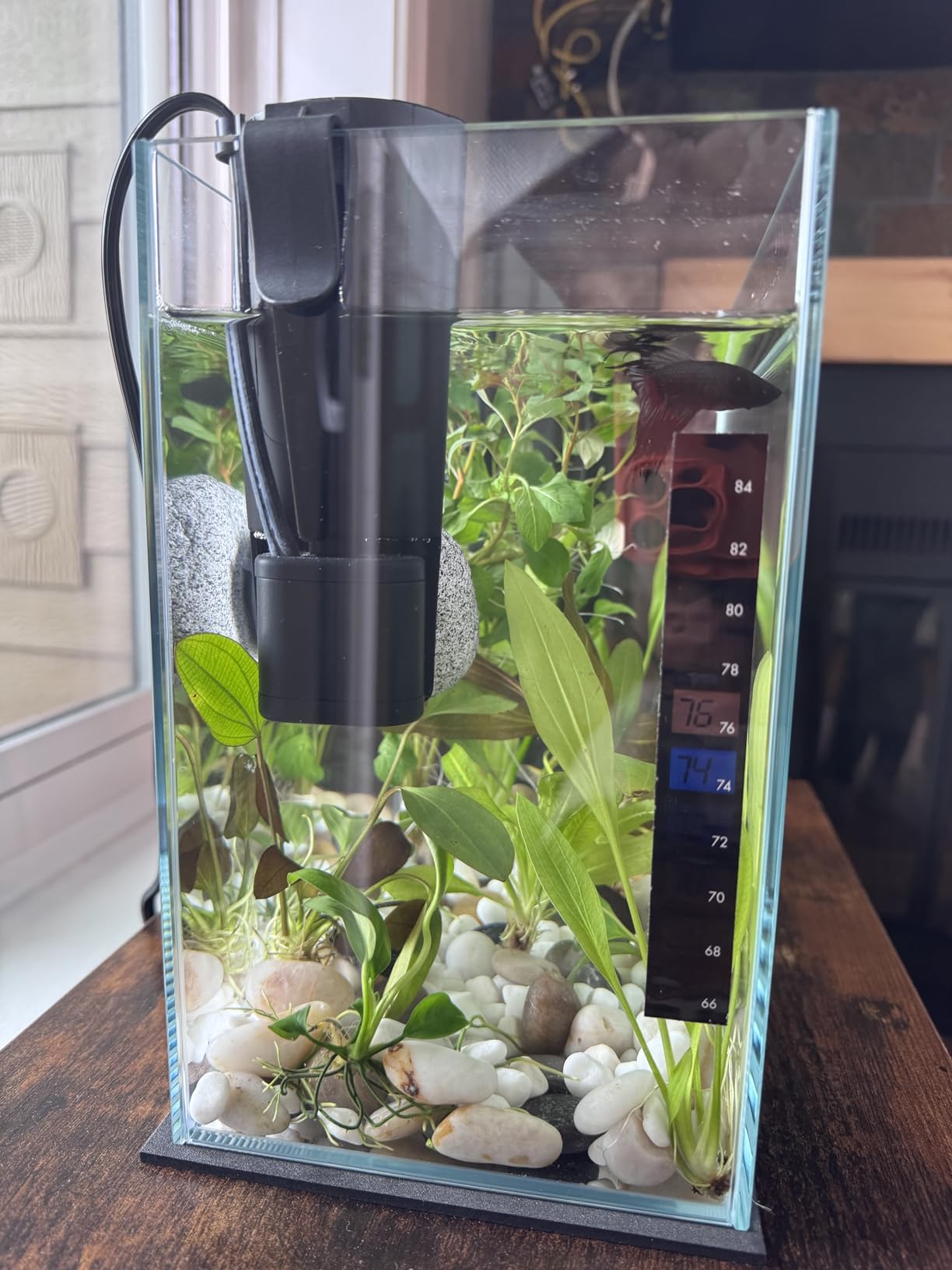 Tetra Whisper 170 GPH Internal Power Aquarium Filter customer photo 1