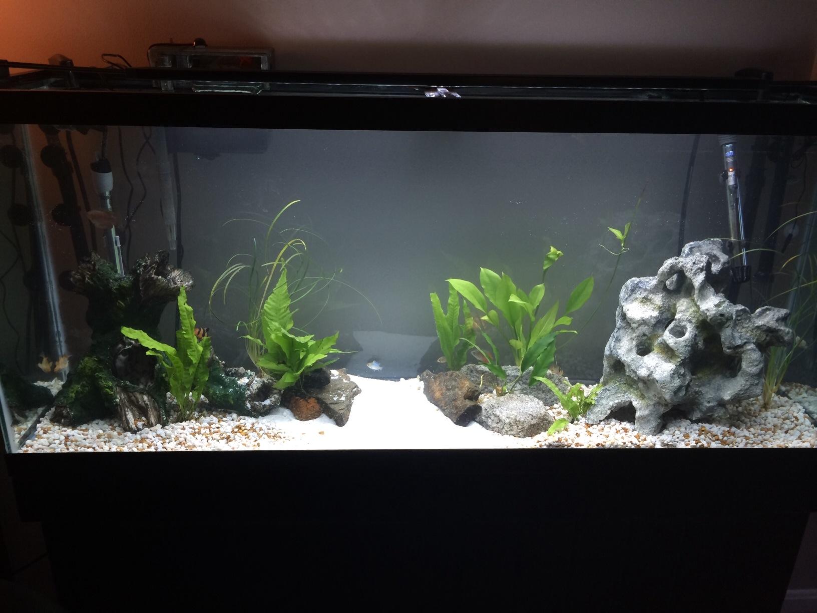 Penn-Plax Cascade 1000 Canister Filter - 265 GPH Aquarium Filter for Tanks Up to 100 Gallons - 360 Degree Flow Valves, Poly Fiber Pads, Bio-Sponge & Activated Carbon -Fresh & Saltwater -11.5x10x17in customer photo 1