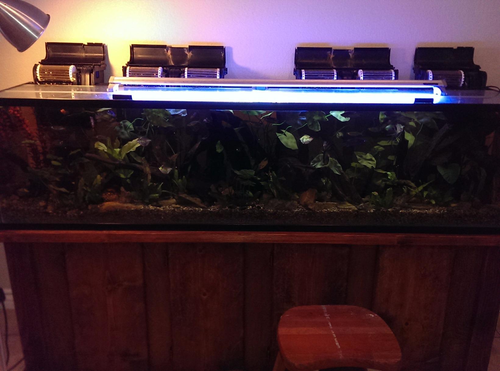 Marineland Bio-Wheel Penguin 200 GPH Power Aquarium Filter customer photo 2