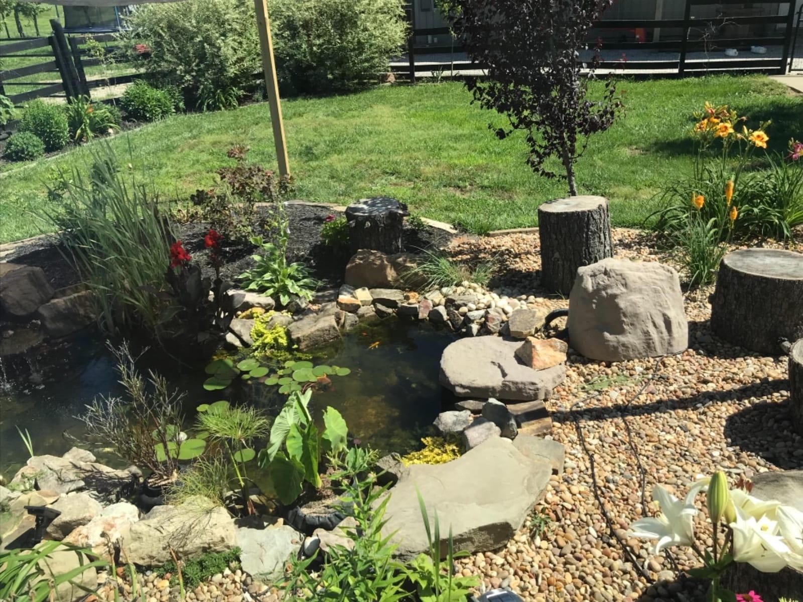 Aquascape DIY Backyard Pond Kit 8 x 11 feet – Complete Water Garden Ecosystem with Pump, Skimmer, and Filter, 99765 customer photo 1