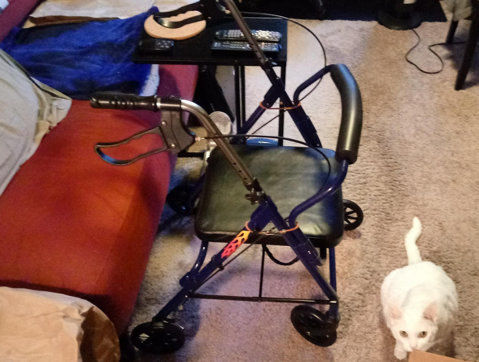 DMI Ultra Lightweight Folding Aluminum Hemi Rollator with Padded Seat, Basket and Adjustable Handle Height, Mobility Walker, Easily Fords, 300 pound Weight Capacity, Titanium customer photo 2