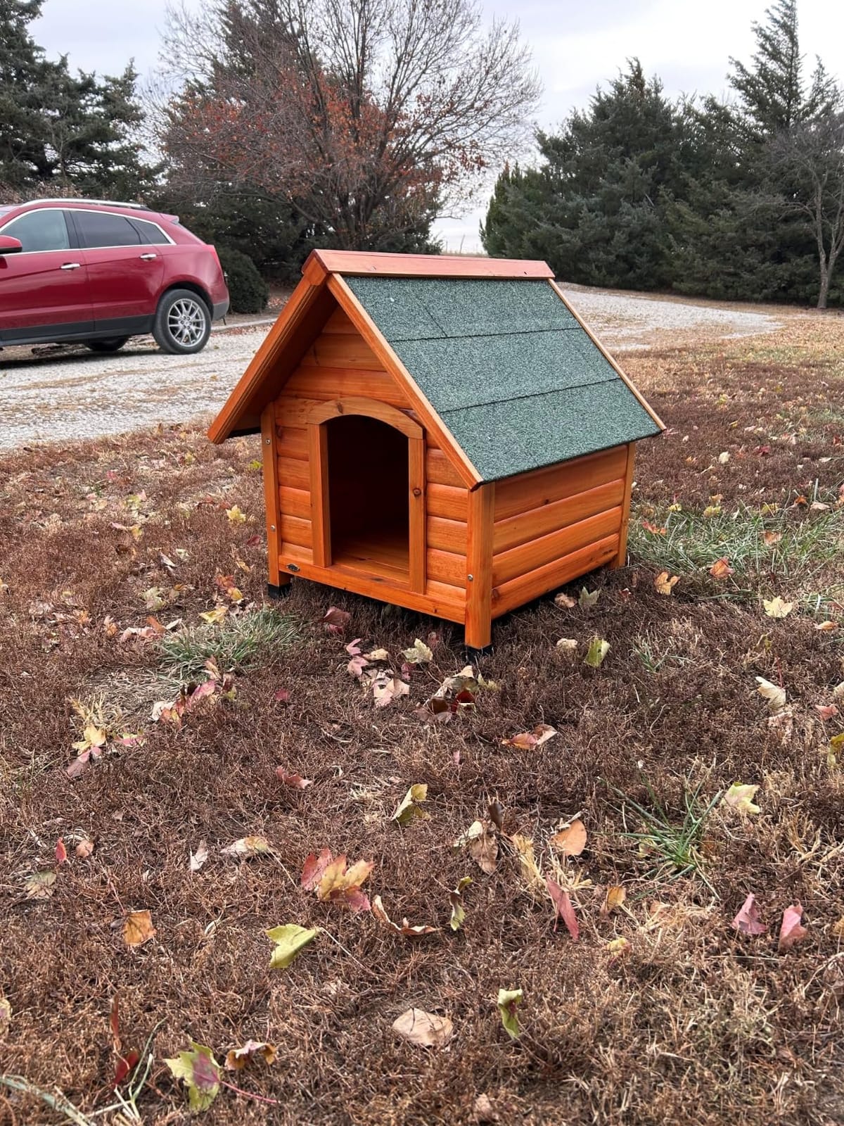 TRIXIE natura Cottage Dog House – Small Outdoor Weatherproof Wooden Shelter with Adjustable Legs for Small Dogs – 30 x 28 x 30.5 in customer photo 1