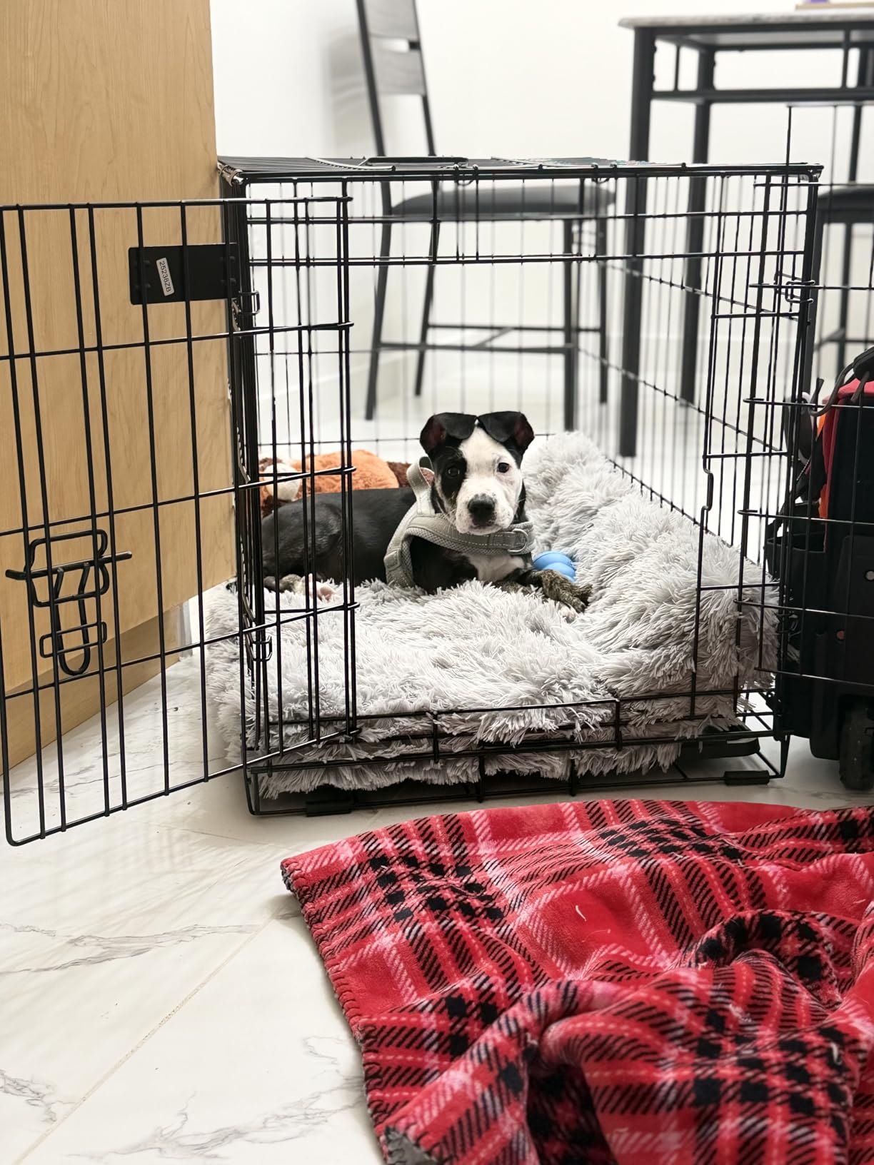 Midwest 48-Inch Single Door iCrate, for Extra-Large Breeds, 90-110 lbs customer photo 1
