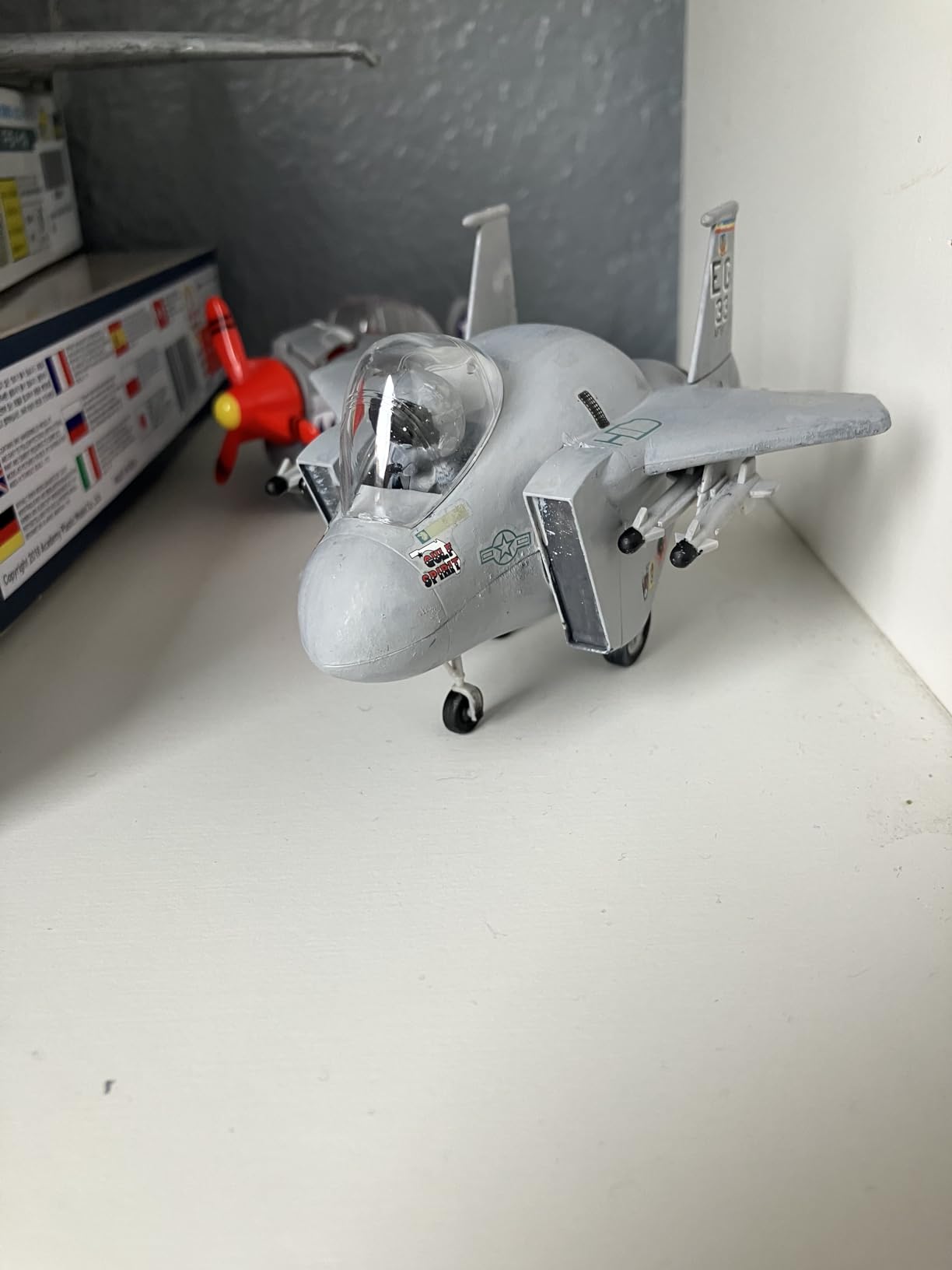 Hasegawa