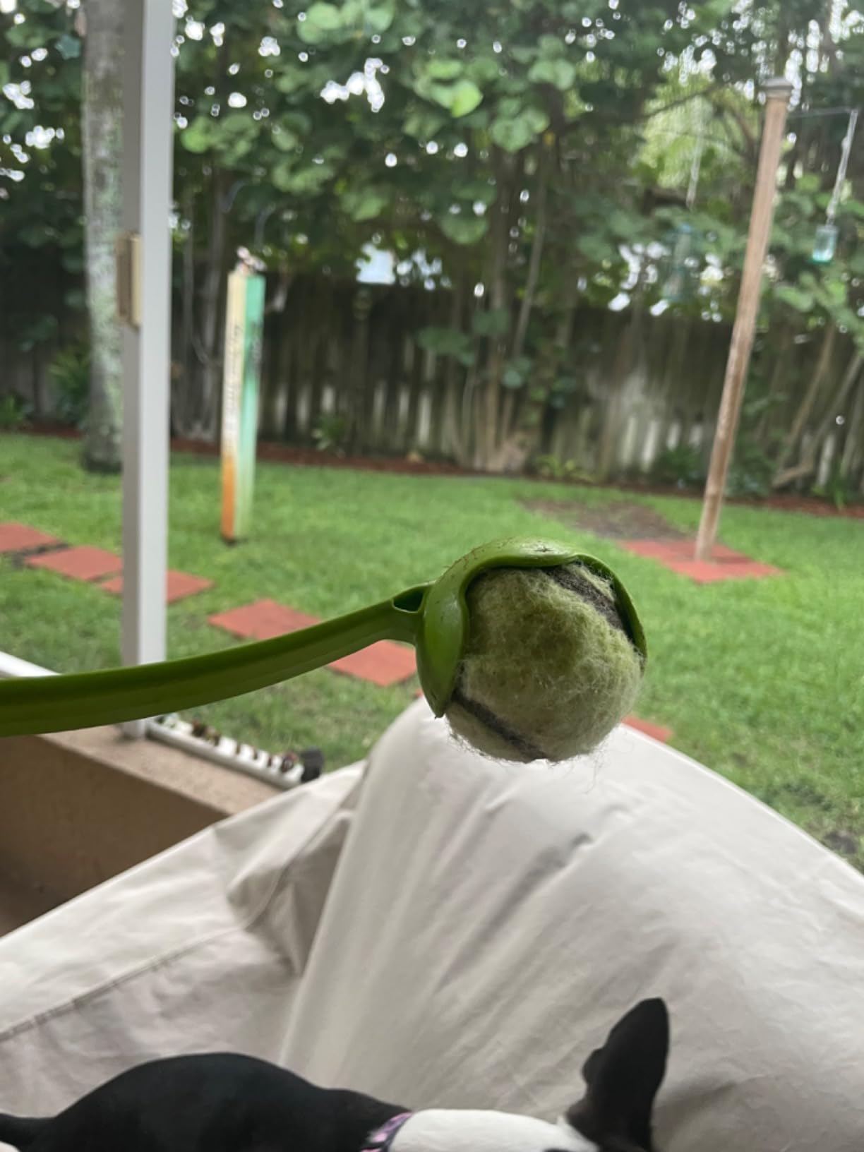 Chuckit! Sport 14S Manual Ball Launcher for Small Dogs customer photo 2