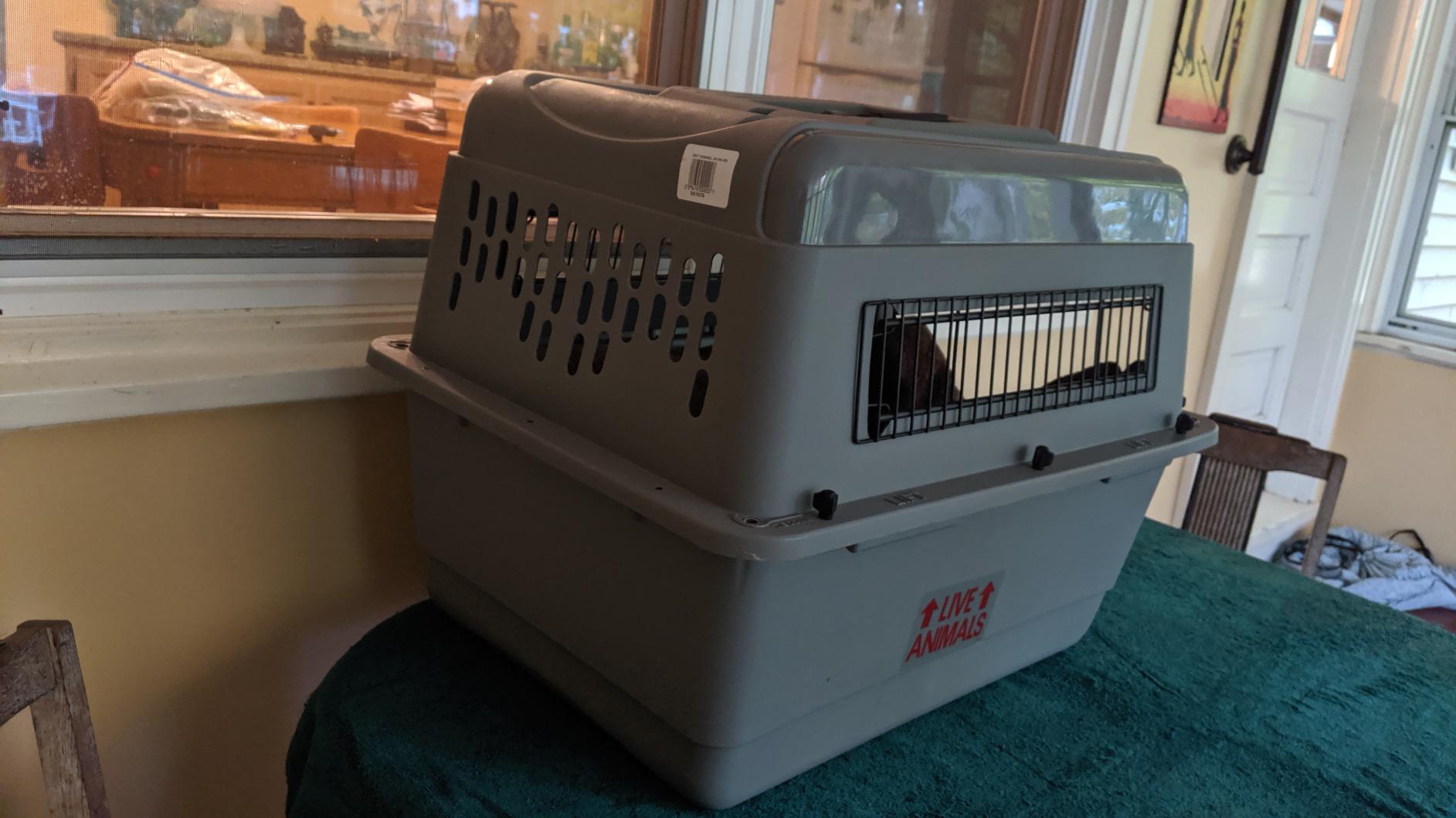 Petmate Sky Kennel, for Air Travel, 36in Dog Crate for Pets 50 to 70lbs customer photo 2