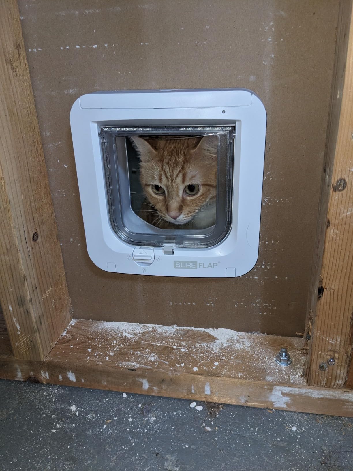 SureFlap - Sure Petcare Microchip Cat Flap, White, Scans Pet's ID on Entry, Check Your Cat's Size,Flap Opening is 4 3/4” (H) by 5 5/8” (W) customer photo 1
