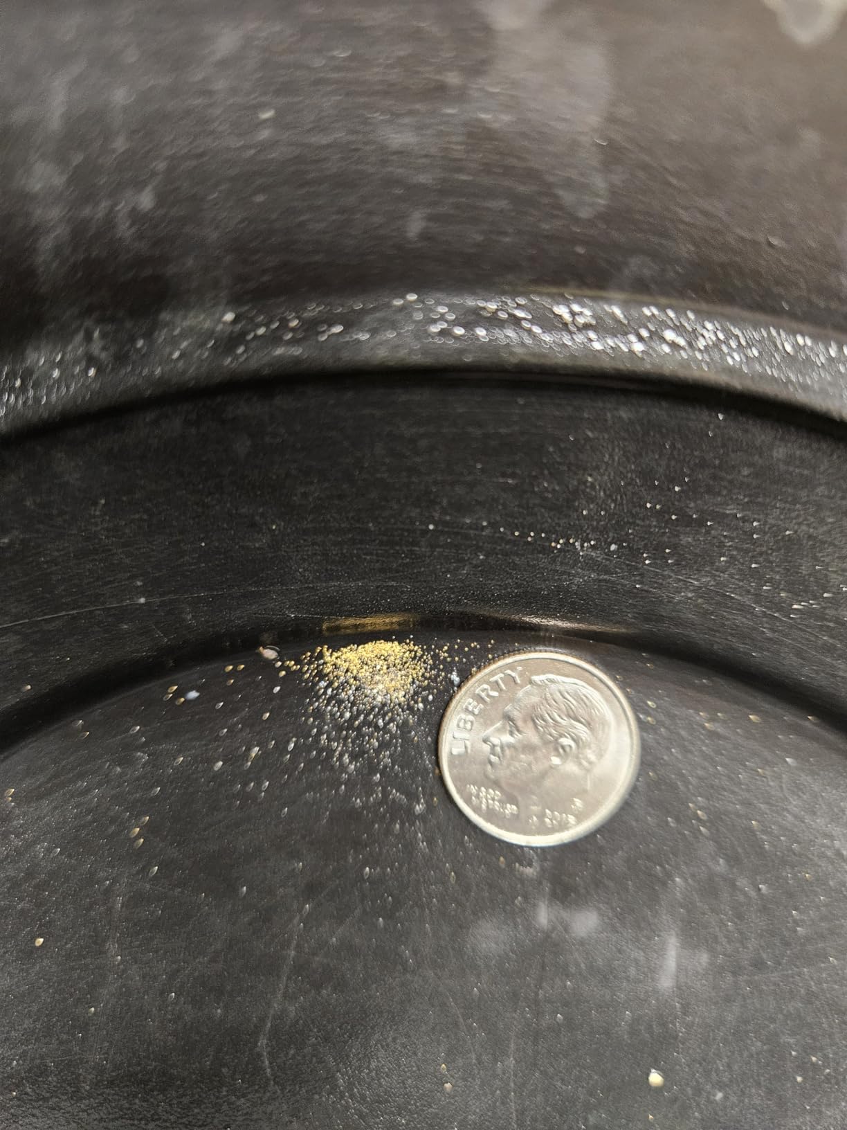 Stansport Professional Gold Pans, 10.5-Inch Diameter customer photo 1