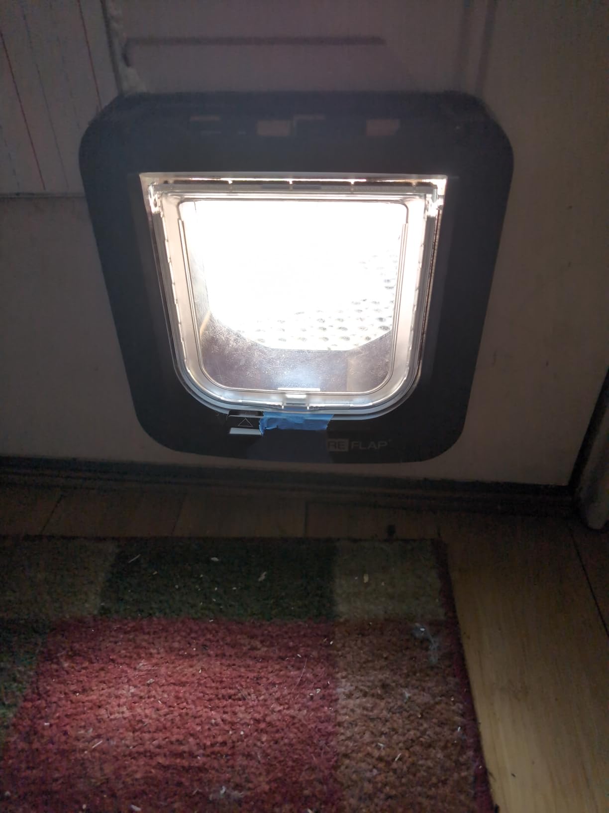 SureFlap Microchip Cat Flap customer photo 1