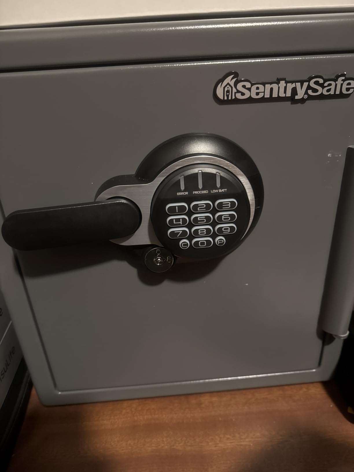 SentrySafe Waterproof and Fireproof Alloy Steel Digital Safe Box for Home with Code Button Keypad, 1.23 Cubic Feet, 17.8 x 16.3 x 19.3 Inches (exterior), SFW123GDC customer photo 1
