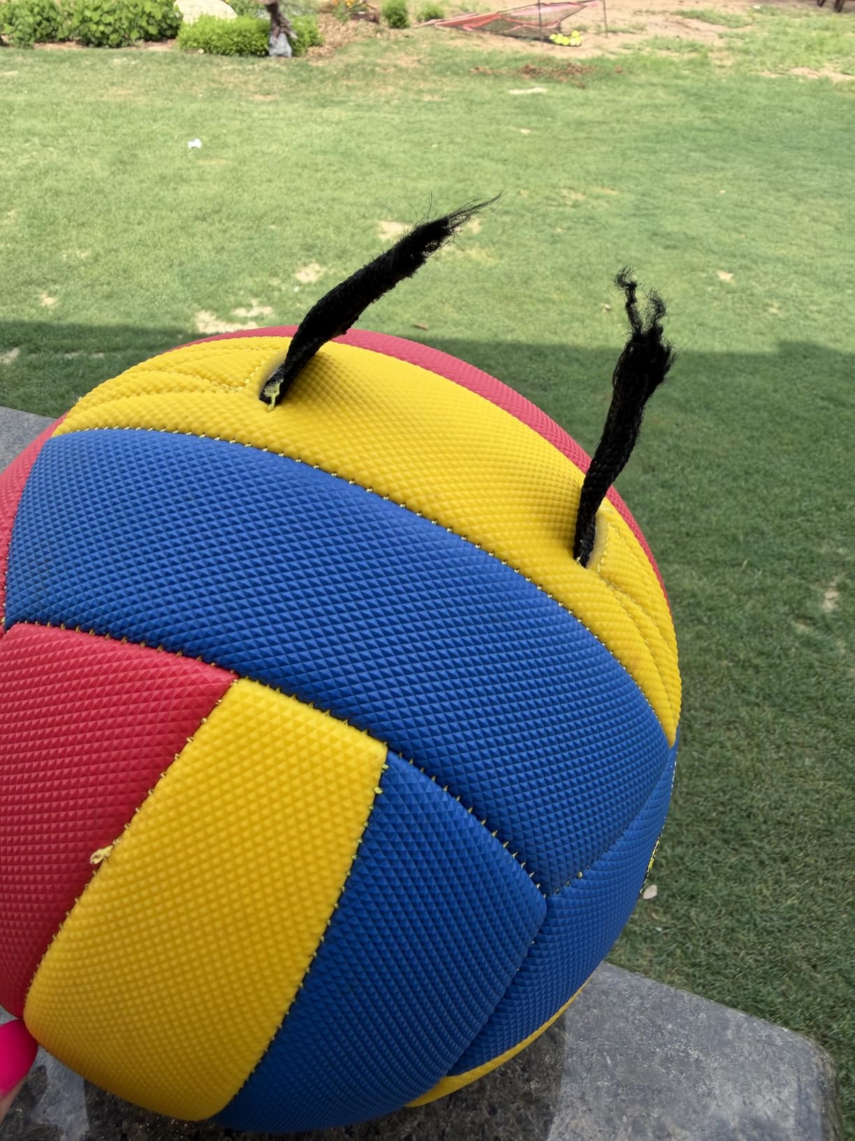 Champion Sports Tether Ball customer photo 1
