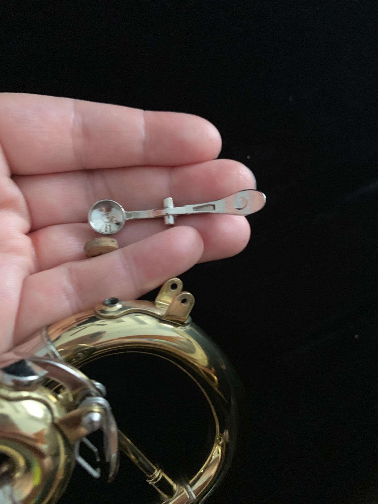 Jean Paul TR-330 Student Bb Trumpet, Two-Piece Yellow Brass Bell, Stainless Steel Valves, U.S. Play-Tested, Gold Lacquer Finish, 7C Mouthpiece and Semi-Hard Case Included customer photo 1