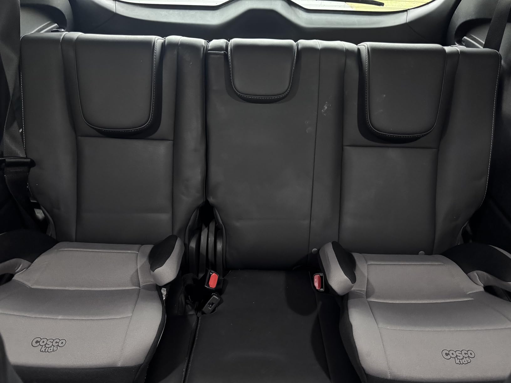 Cosco Topside Backless Booster Car Seat, Lightweight Booster Seats for Cars 40-100 lbs, Backless Booster Seat for Car, Leo customer photo 2