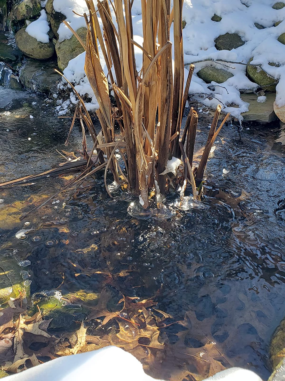 Aquascape 75000 Pond Air 2 (Double Outlet Aeration Kit) customer photo 2